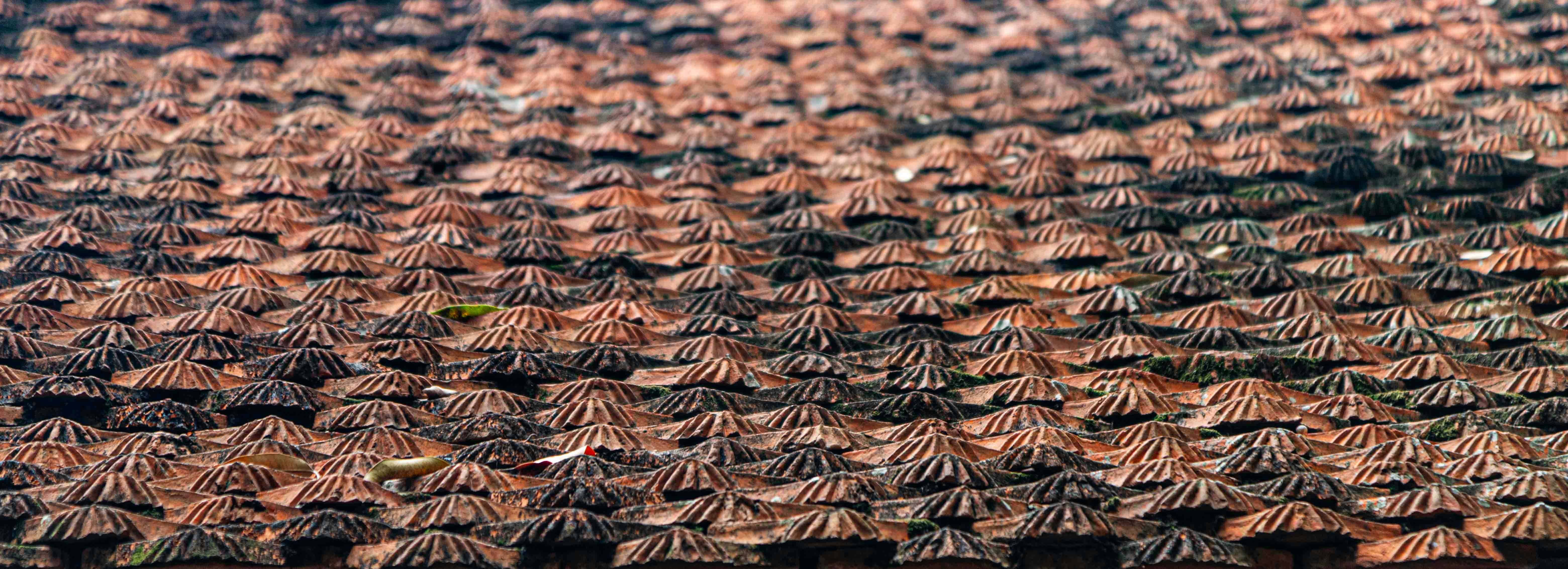 Close-up of a thatched roof with many layers