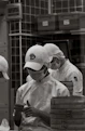 Chefs in uniform preparing food in a kitchen.