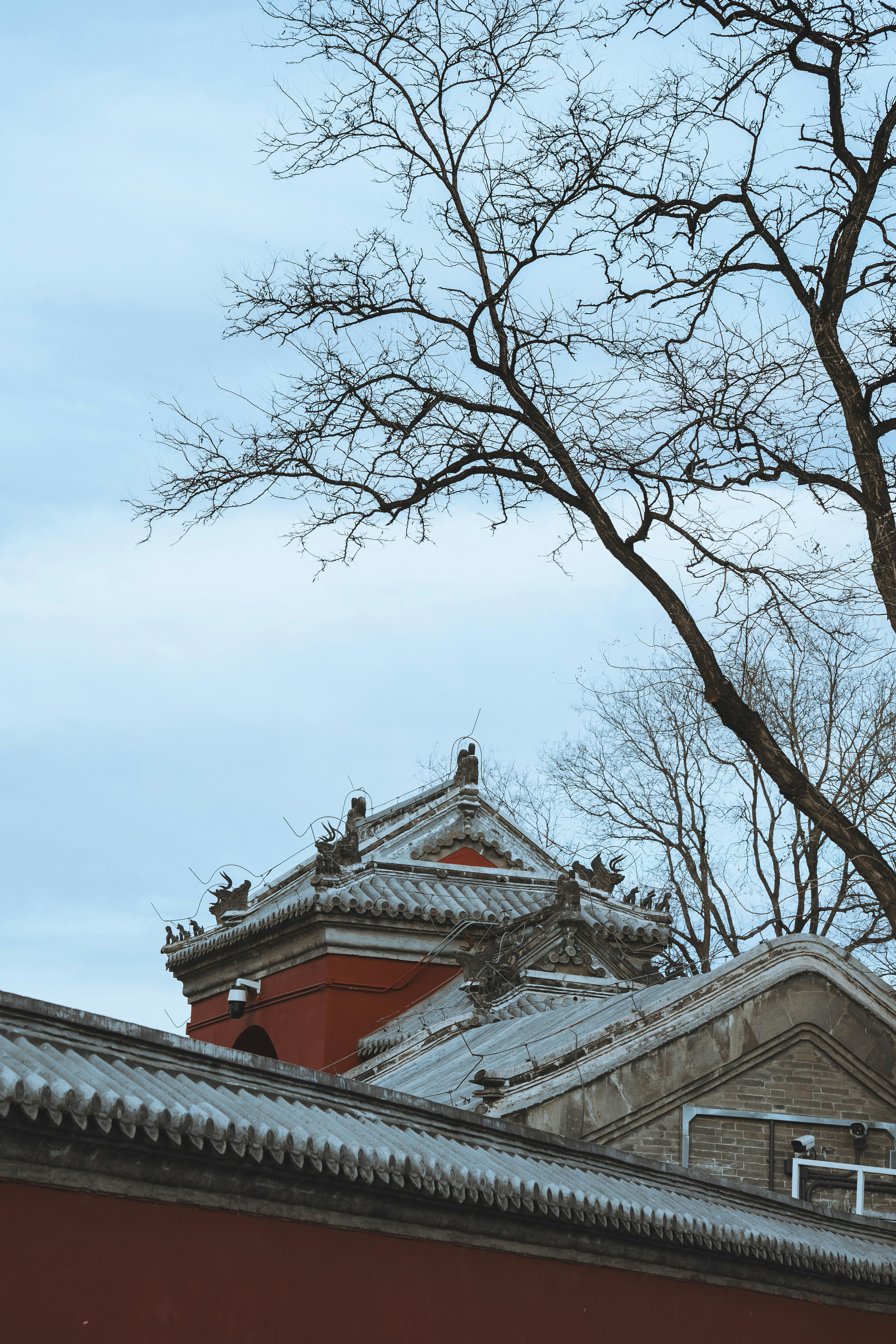 Photo by peek_a_boo_who