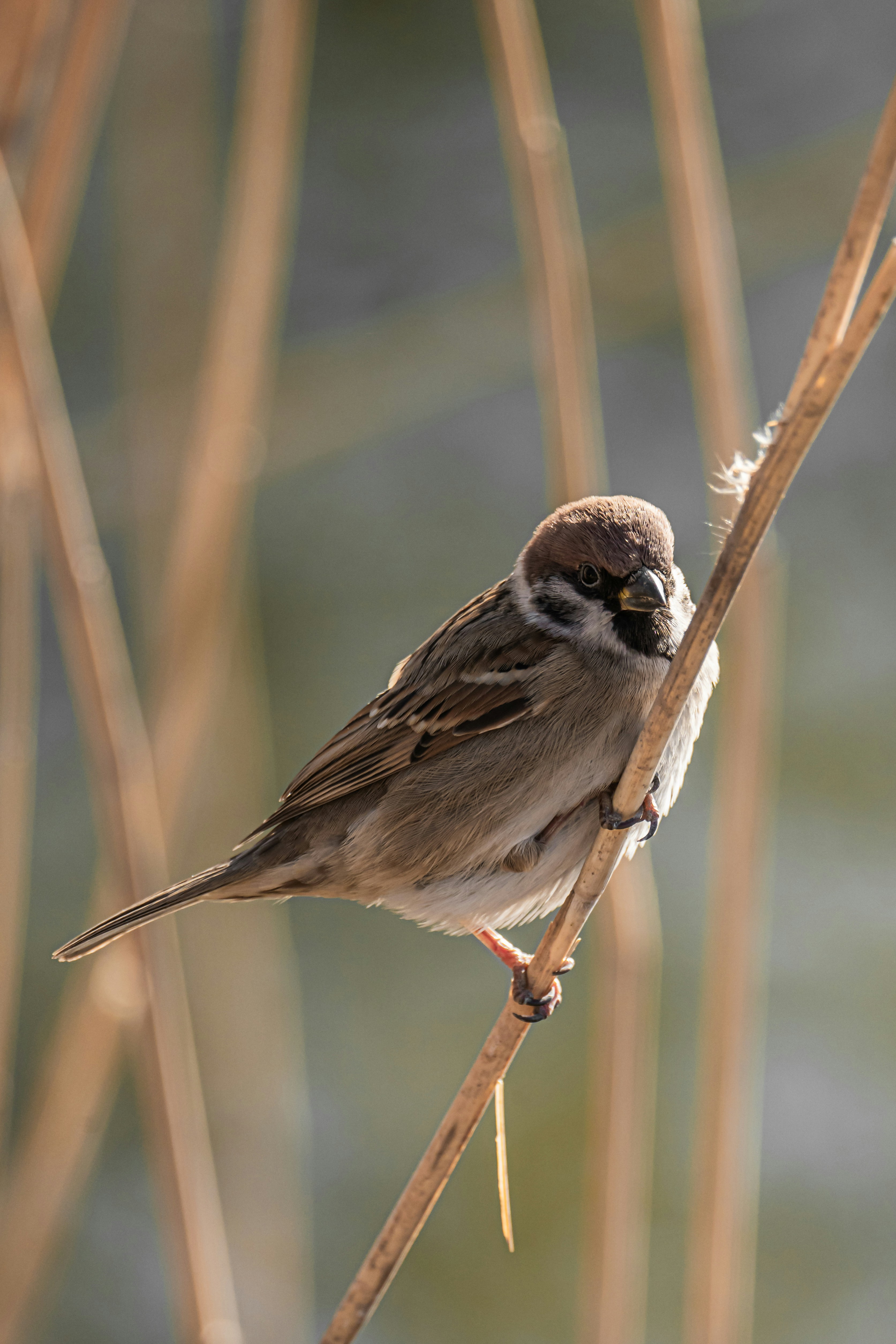 Photo by peek_a_boo_who