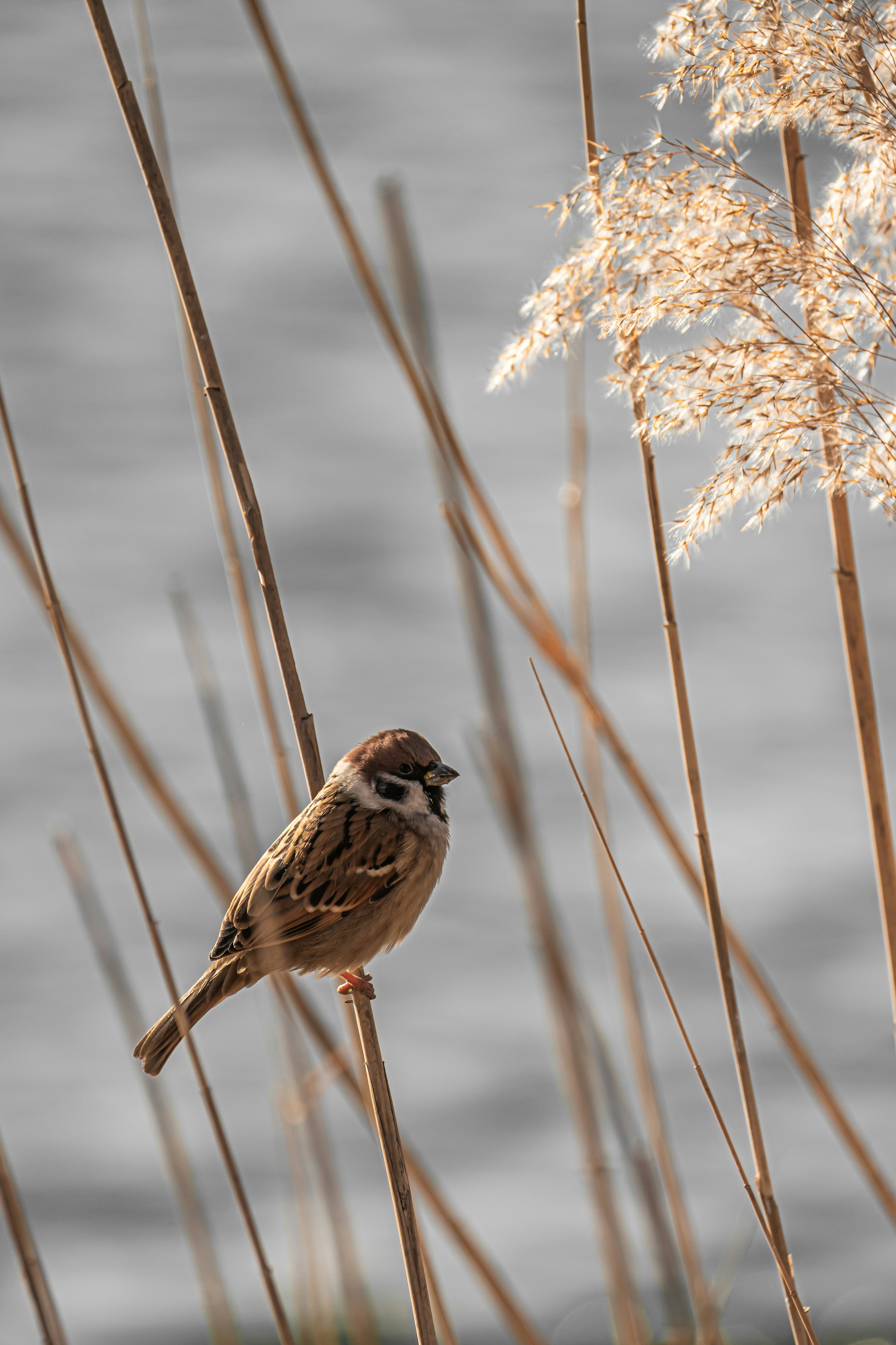 Photo by peek_a_boo_who