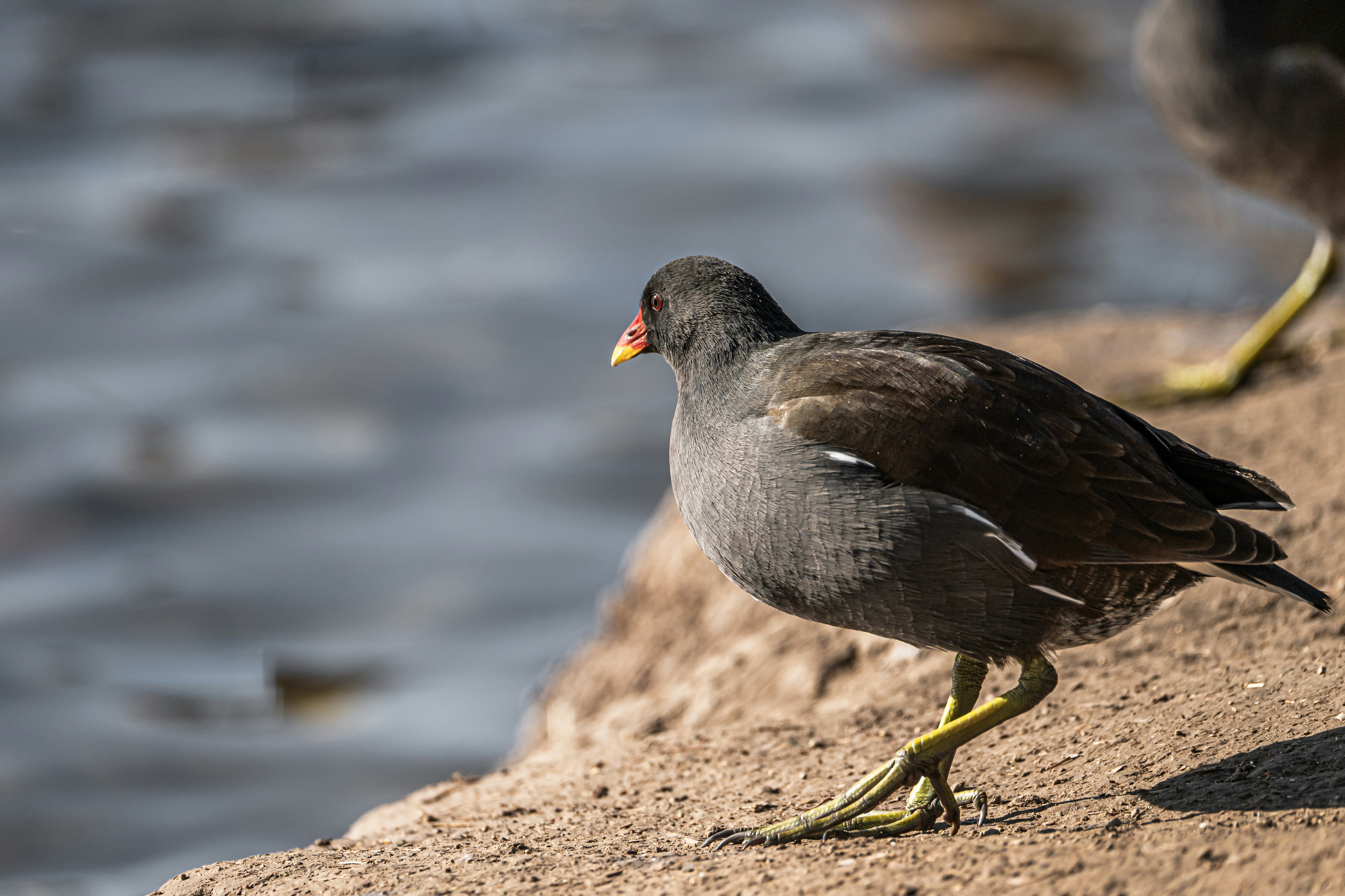 Photo by peek_a_boo_who