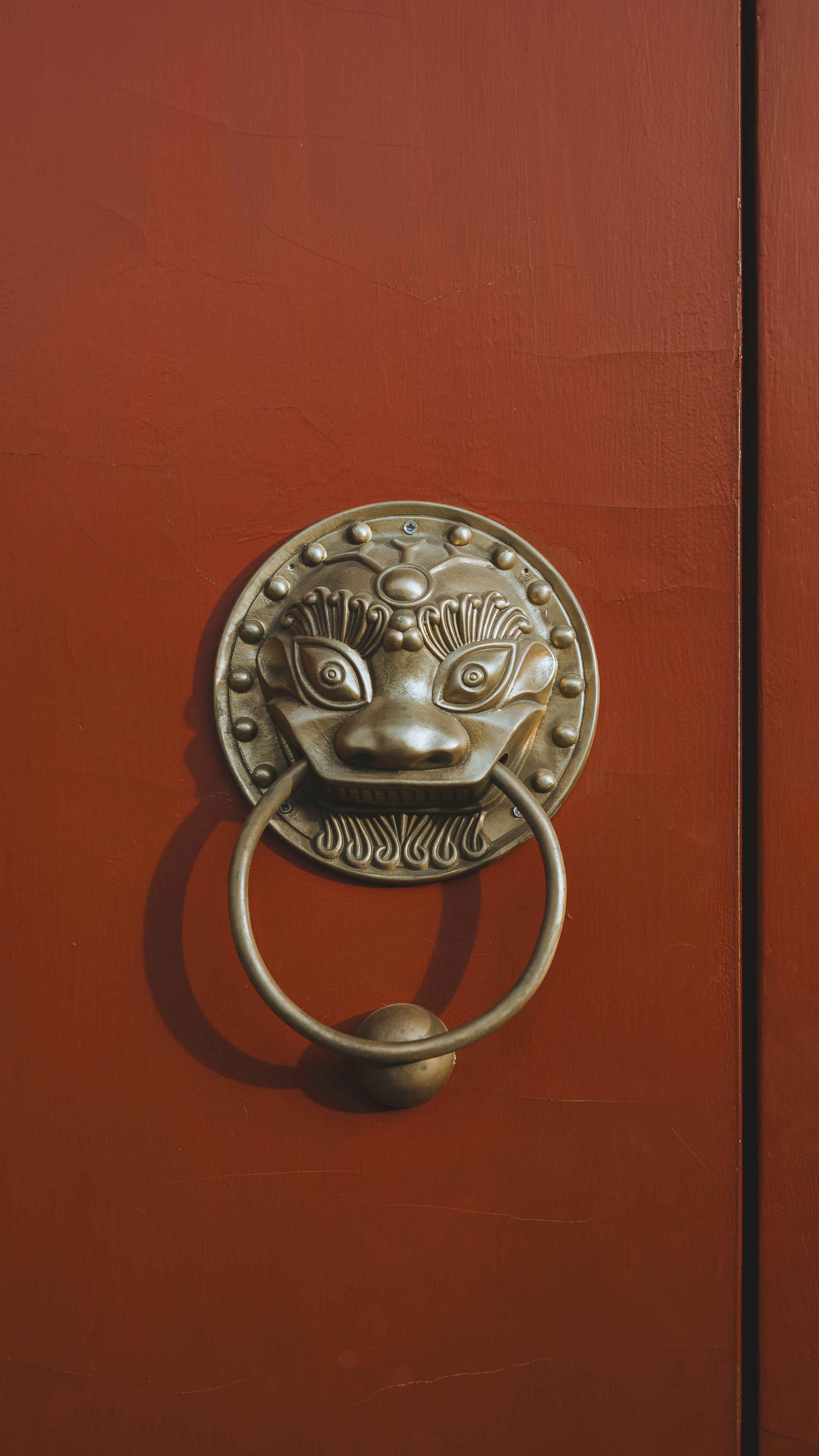 Antique lion head door knocker on red door