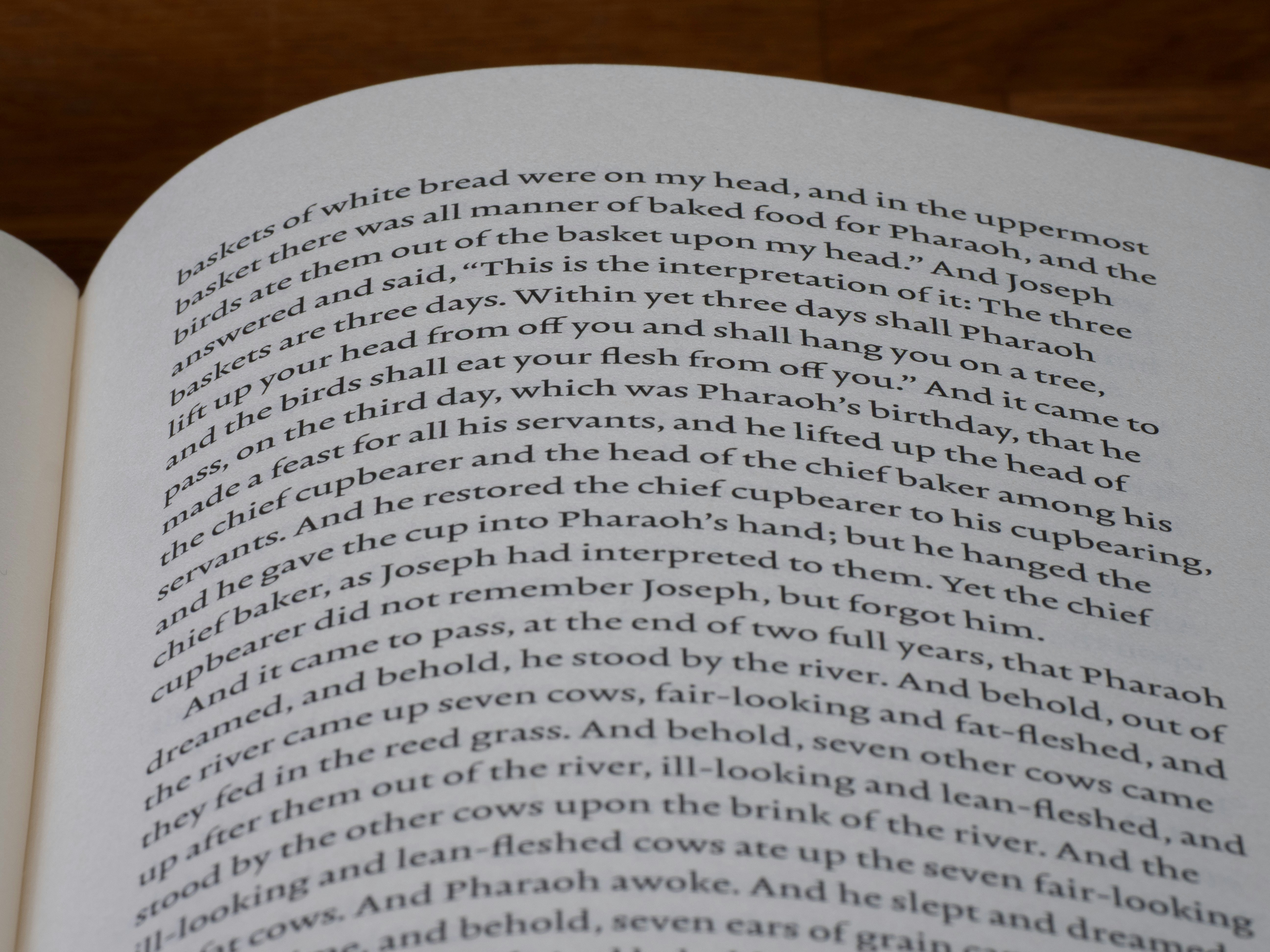 Photo by brett_jordan