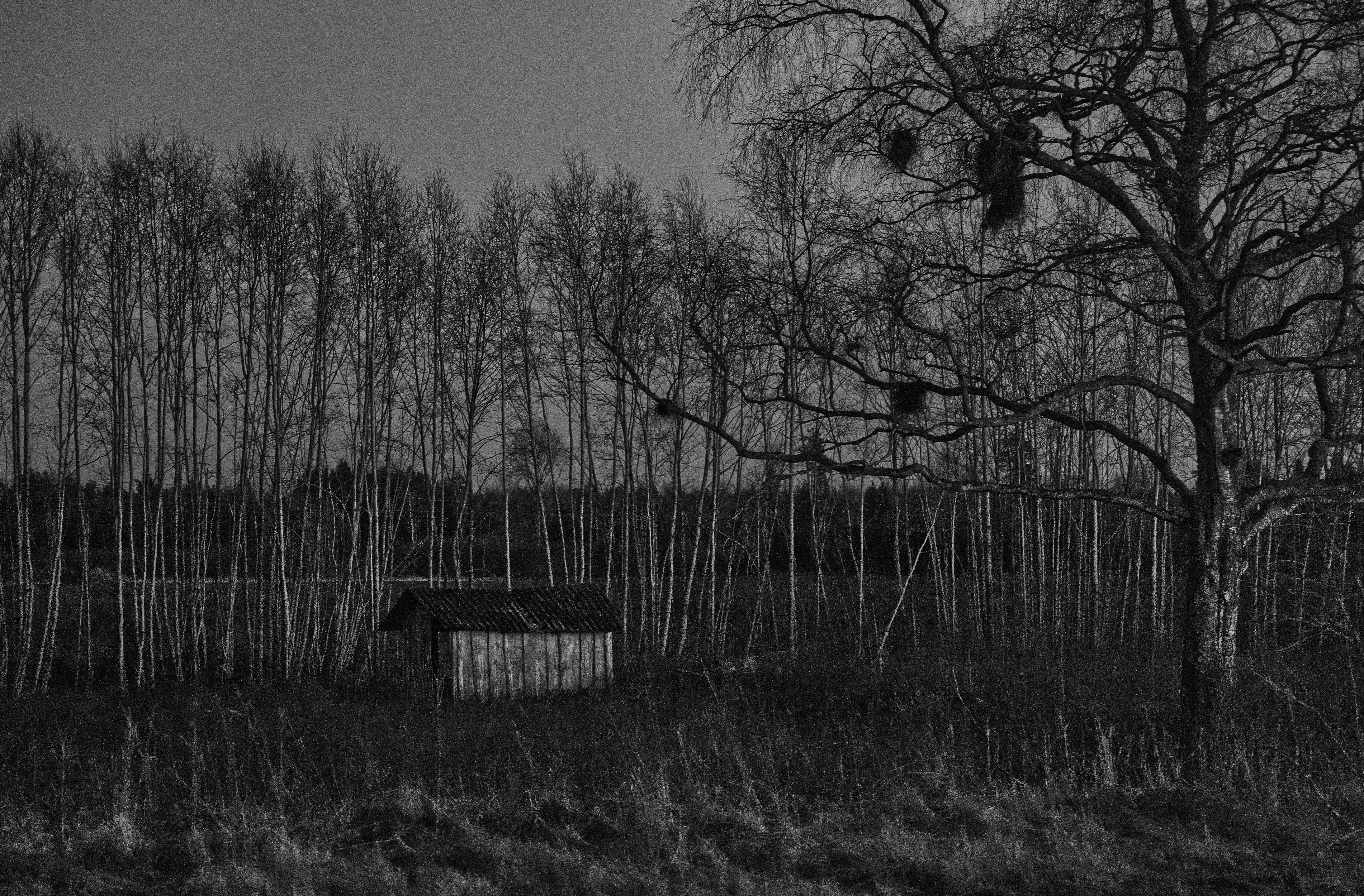 Photo by andruslukas