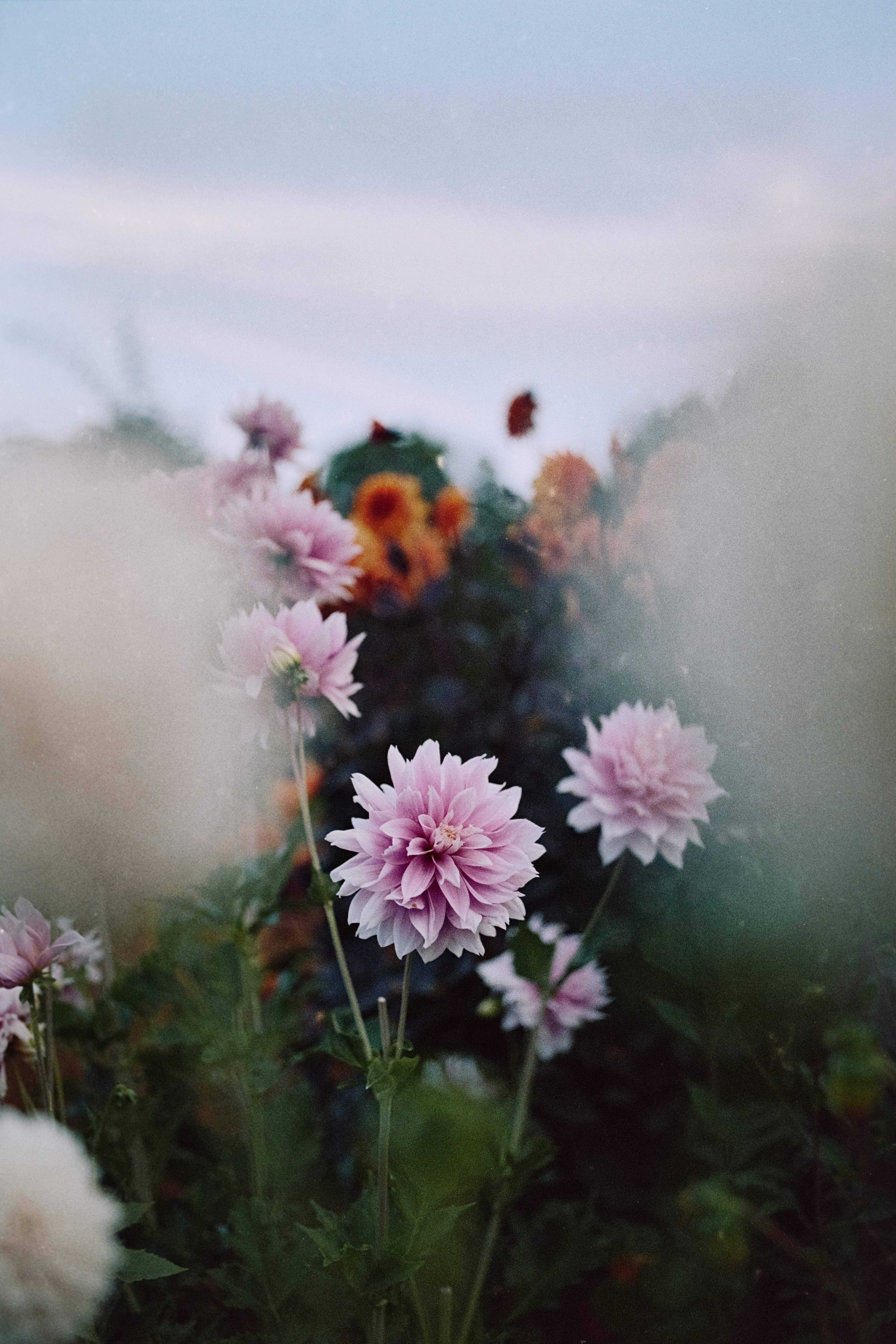 Photo by therealflip_93