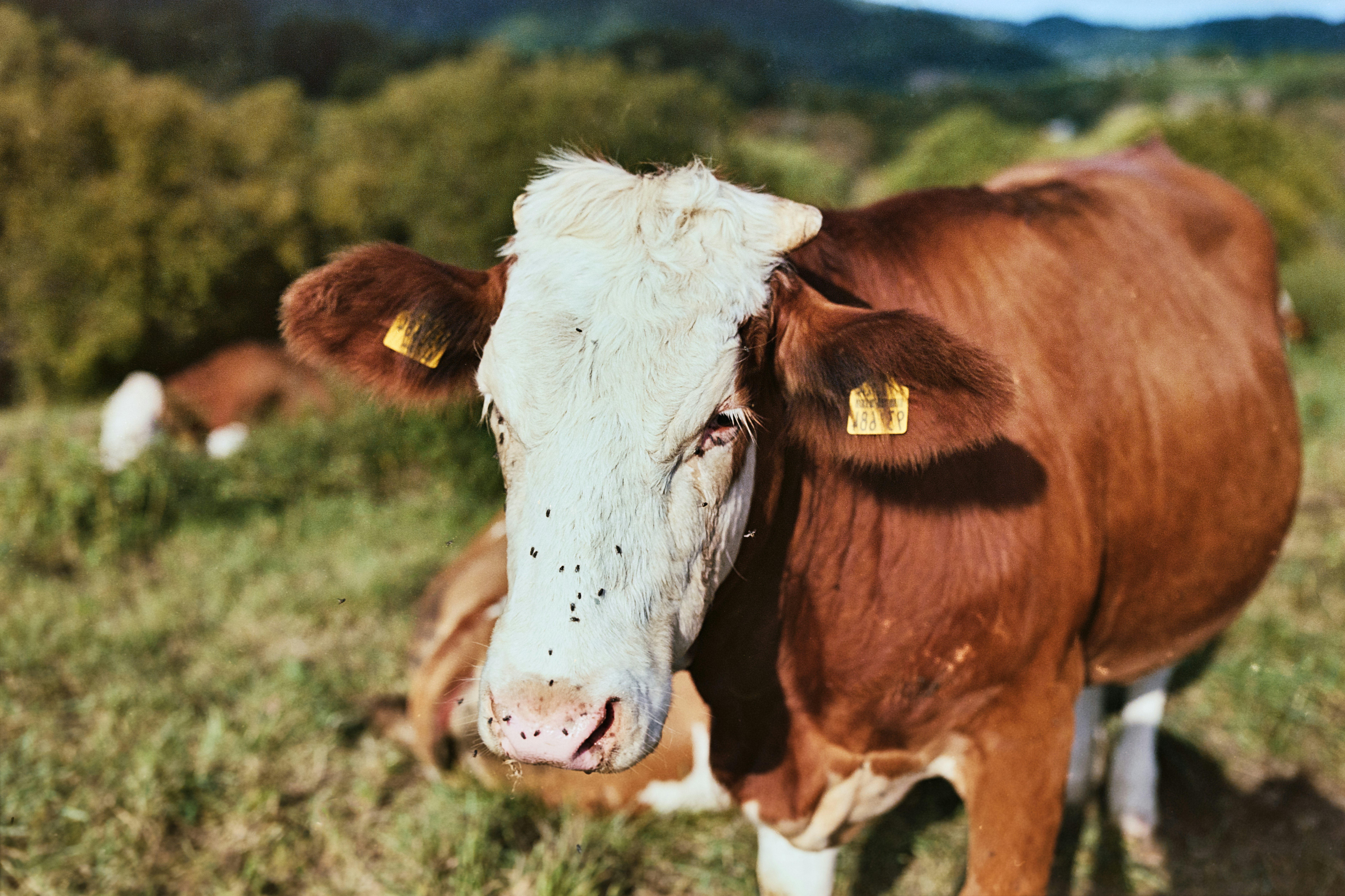 Photo by therealflip_93