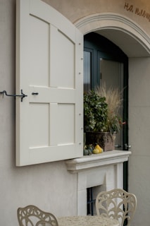Open white shutters on a window with plants.