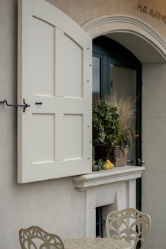 Open white shutters on a window with plants.