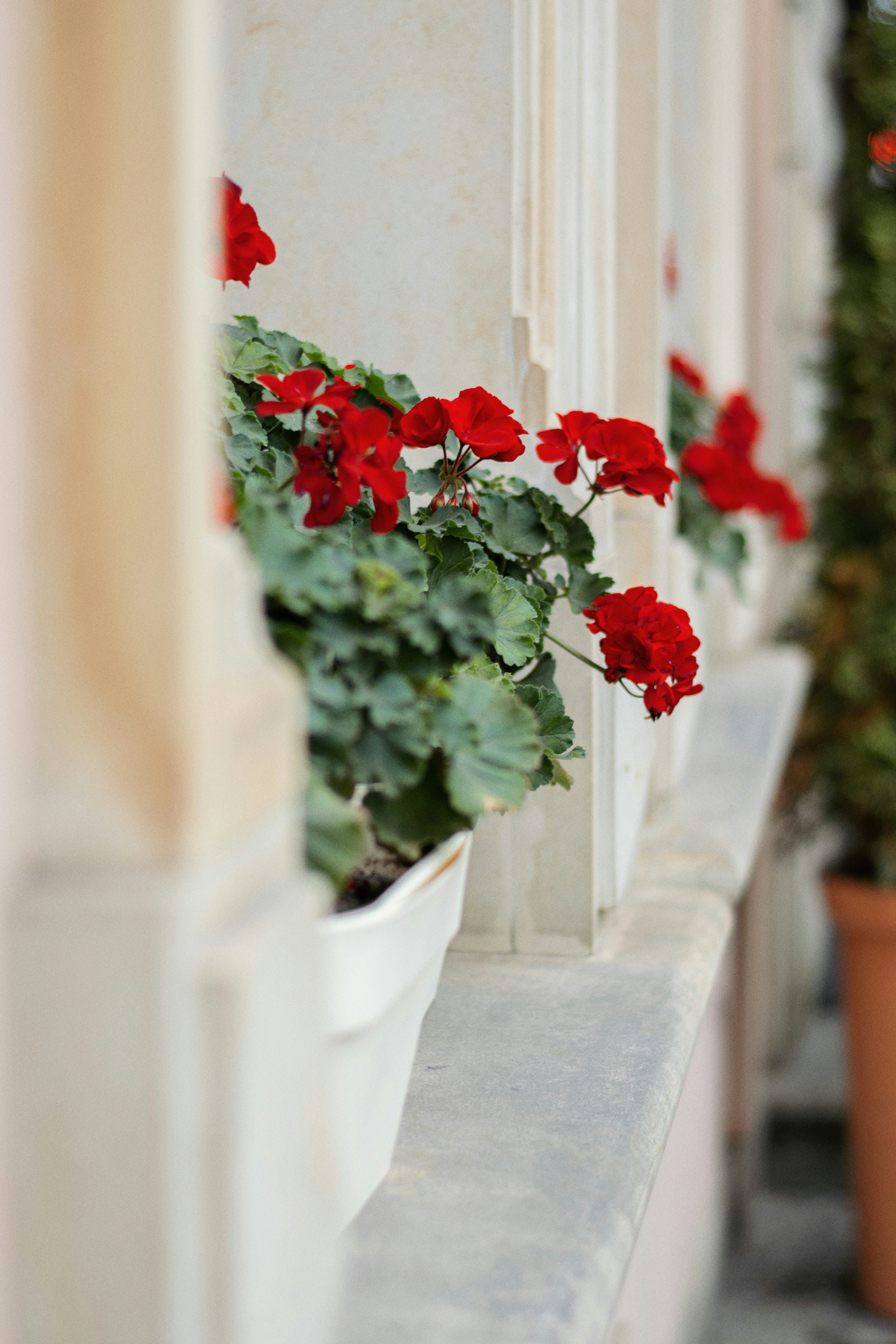 Photo by karynaviktori