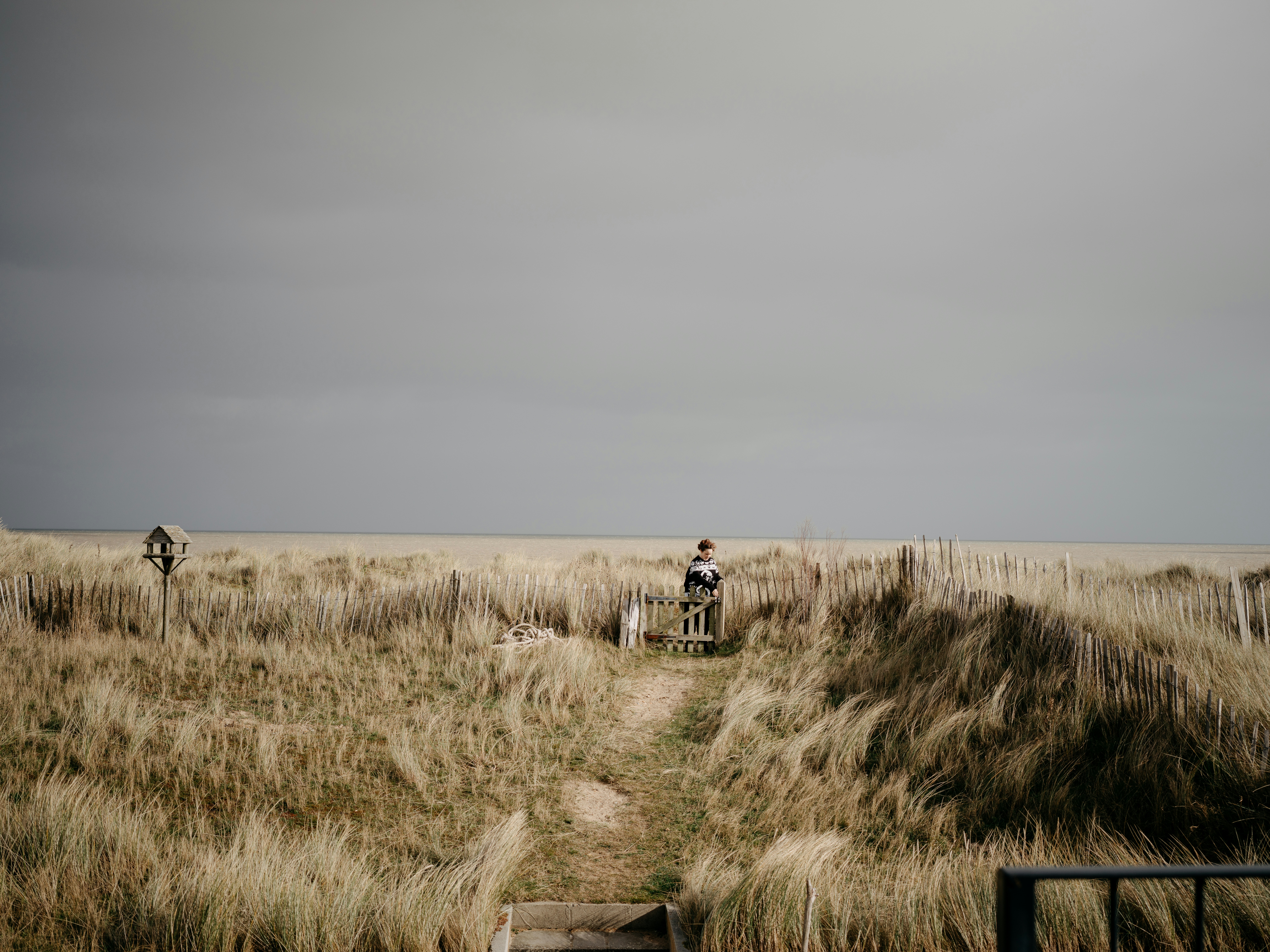 Photo by anniespratt