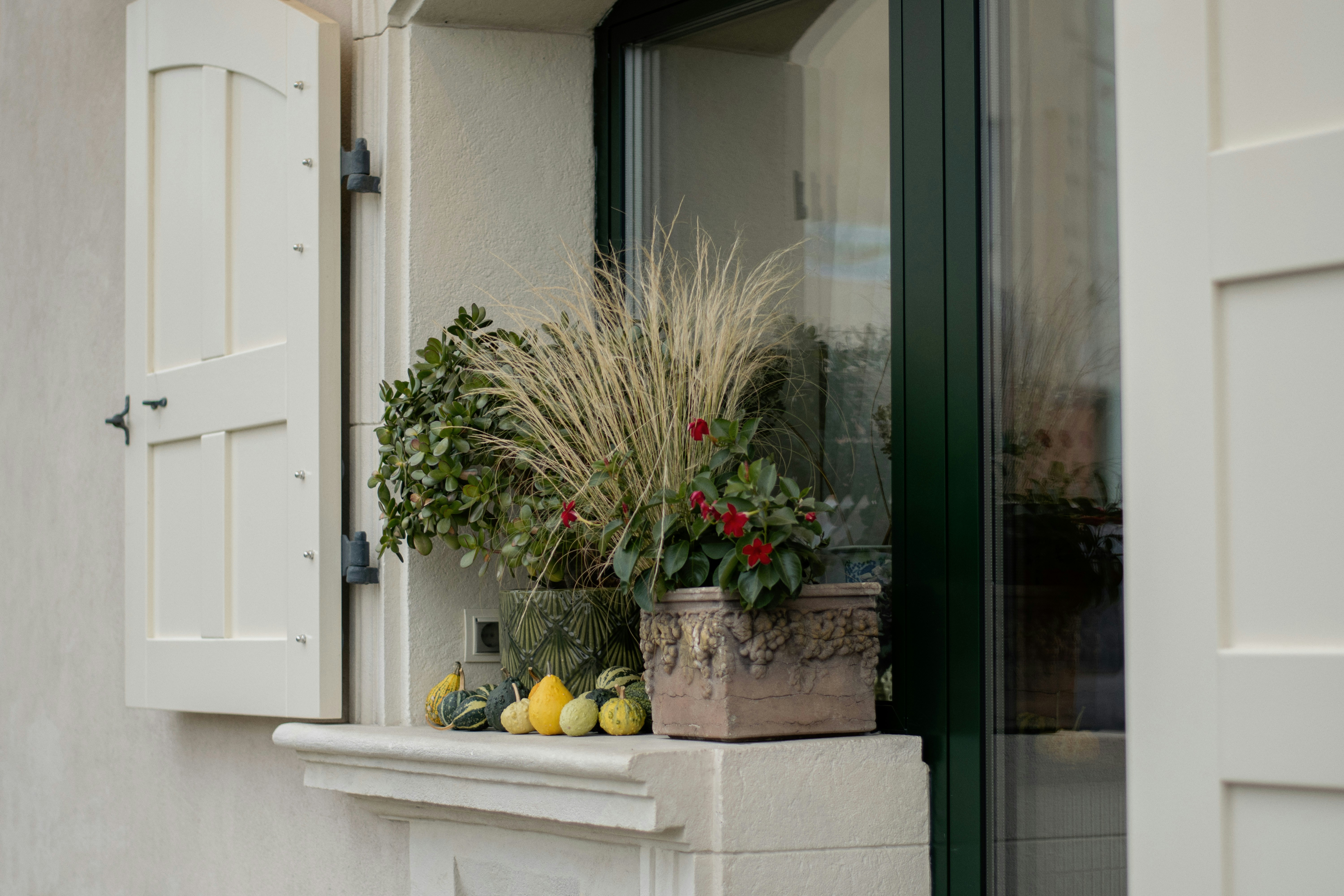 Photo by karynaviktori