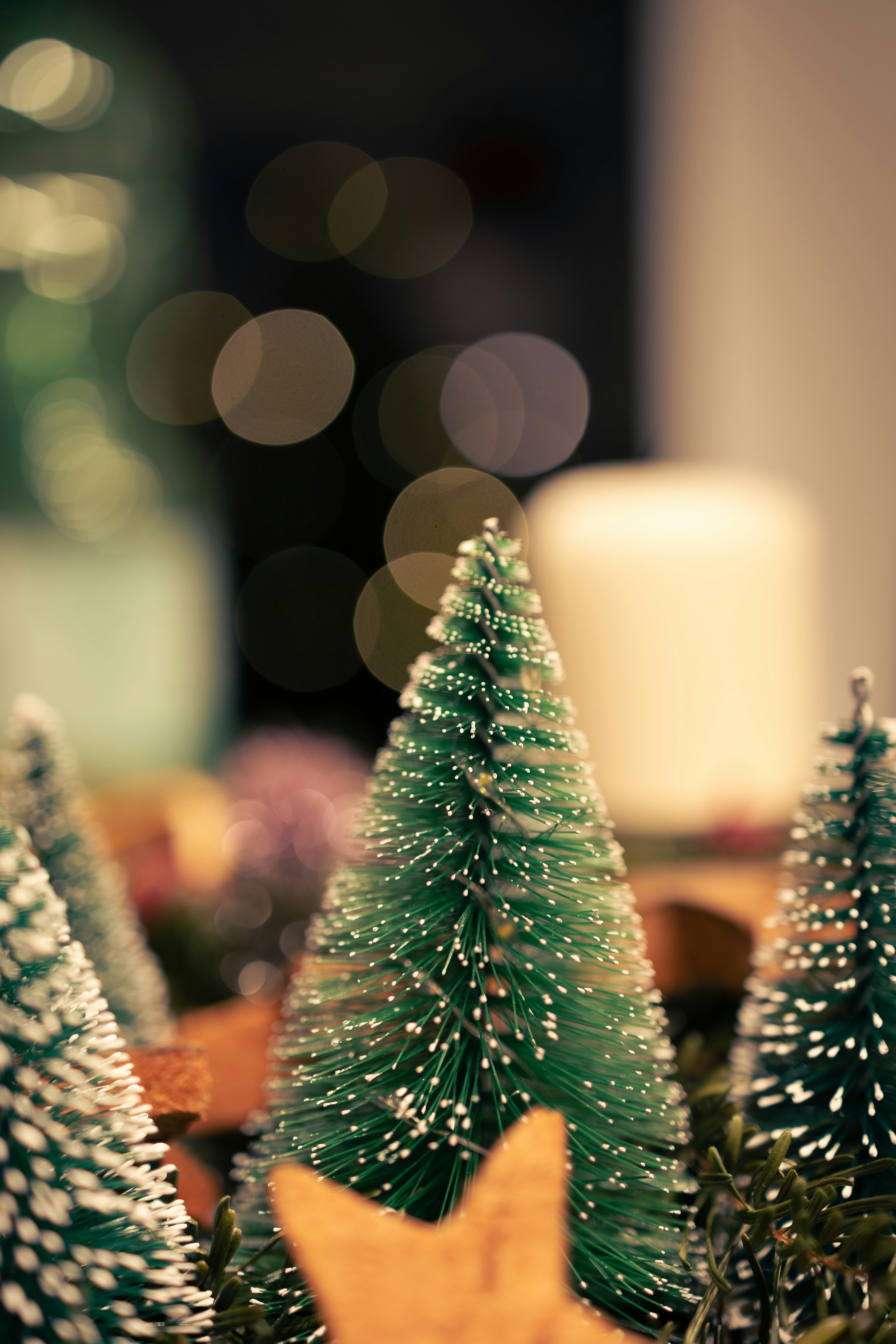 Photo by bildlich_art