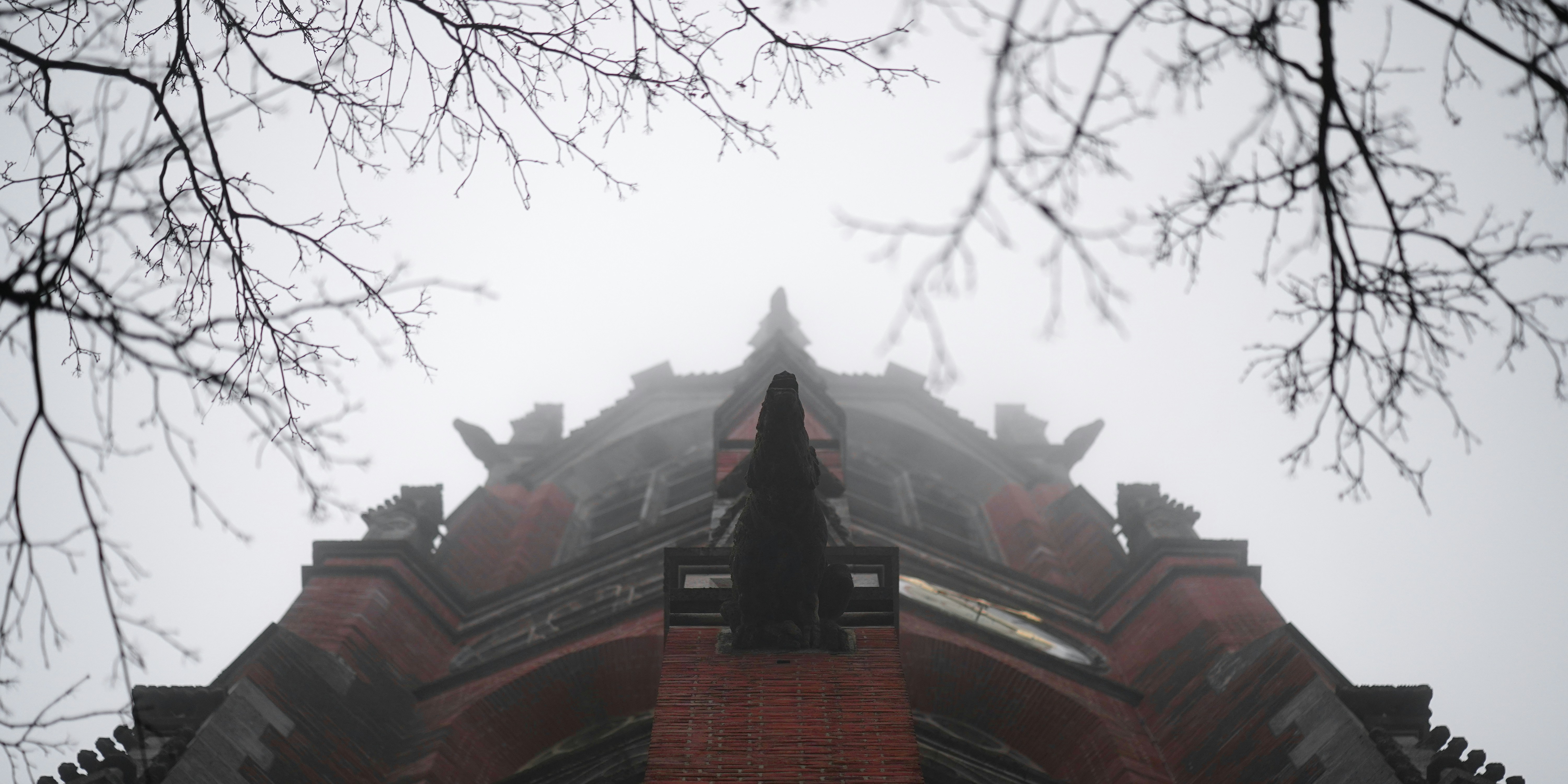 Gothic building facade with gargoyles in fog