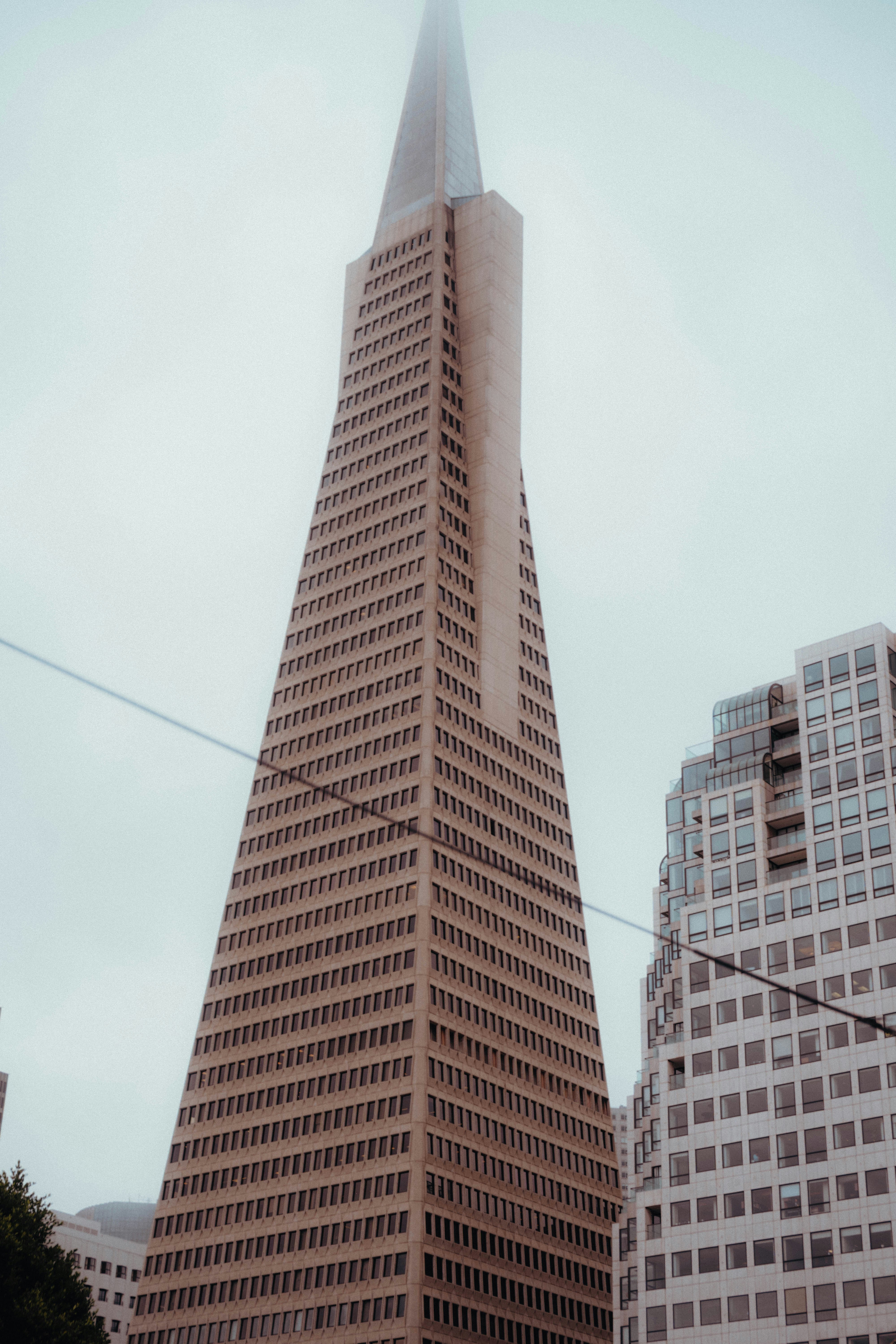 Transamerica pyramid building in san francisco