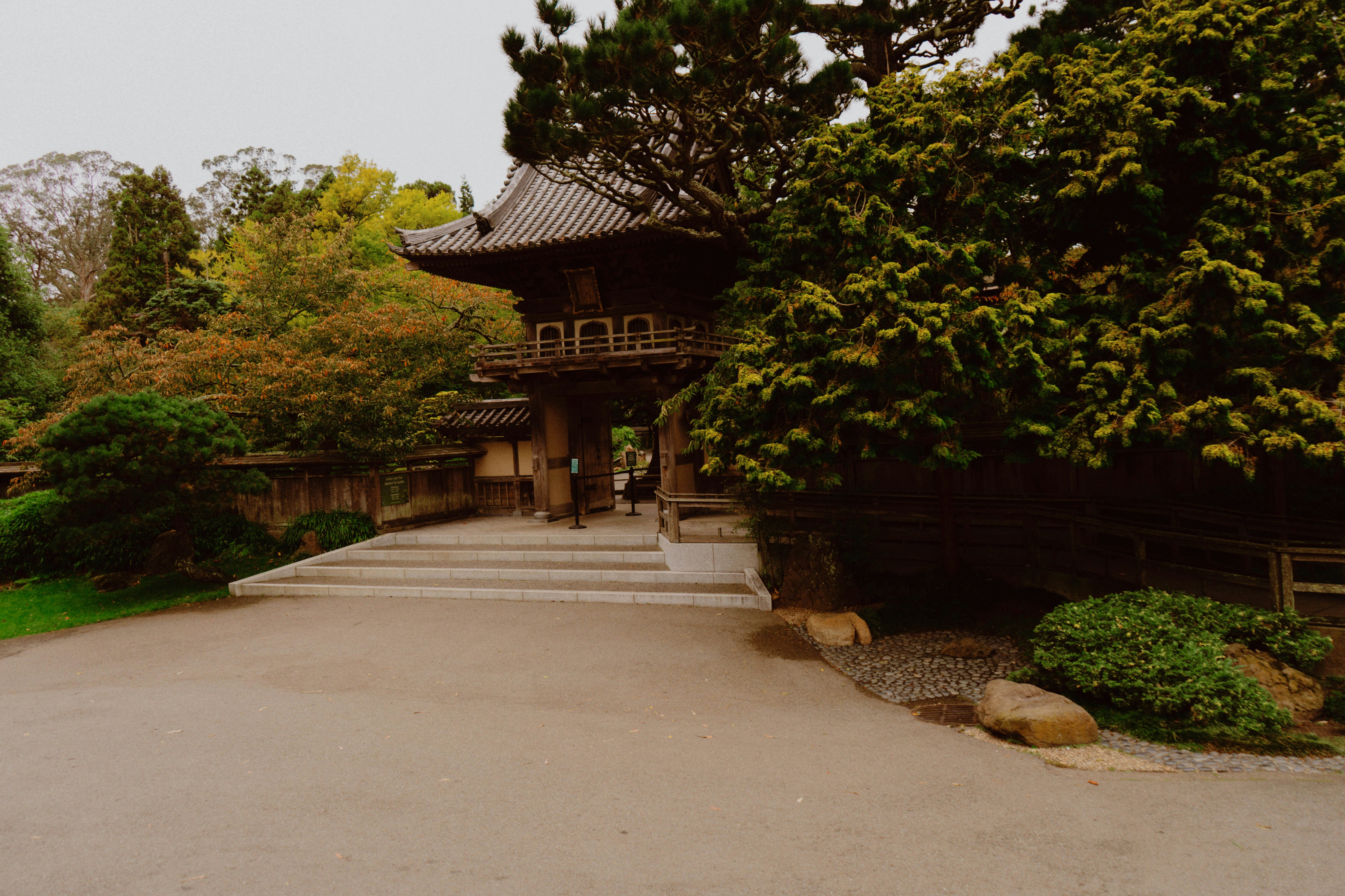 Photo by tarc_maylor