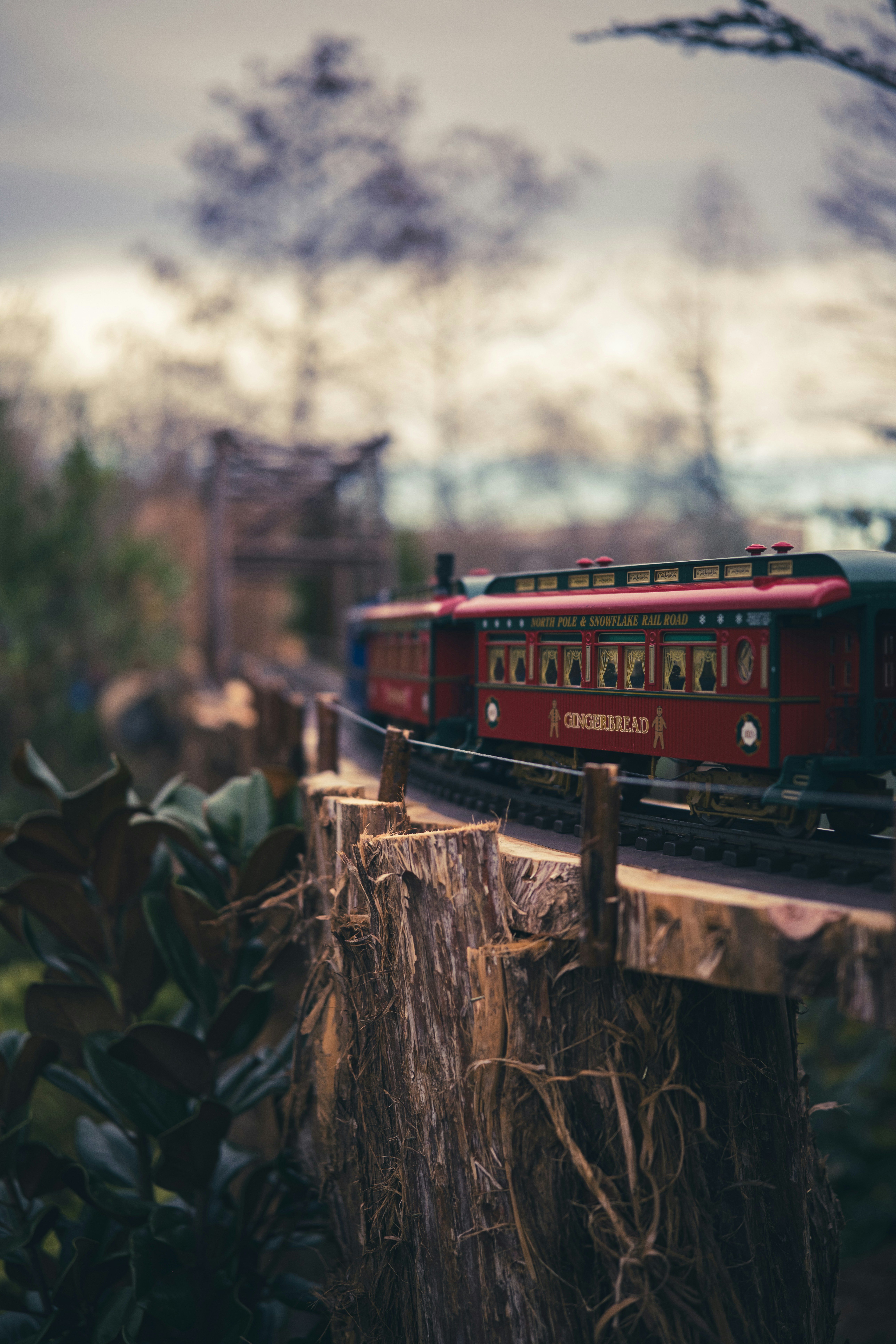 Photo by _itstheobraddock