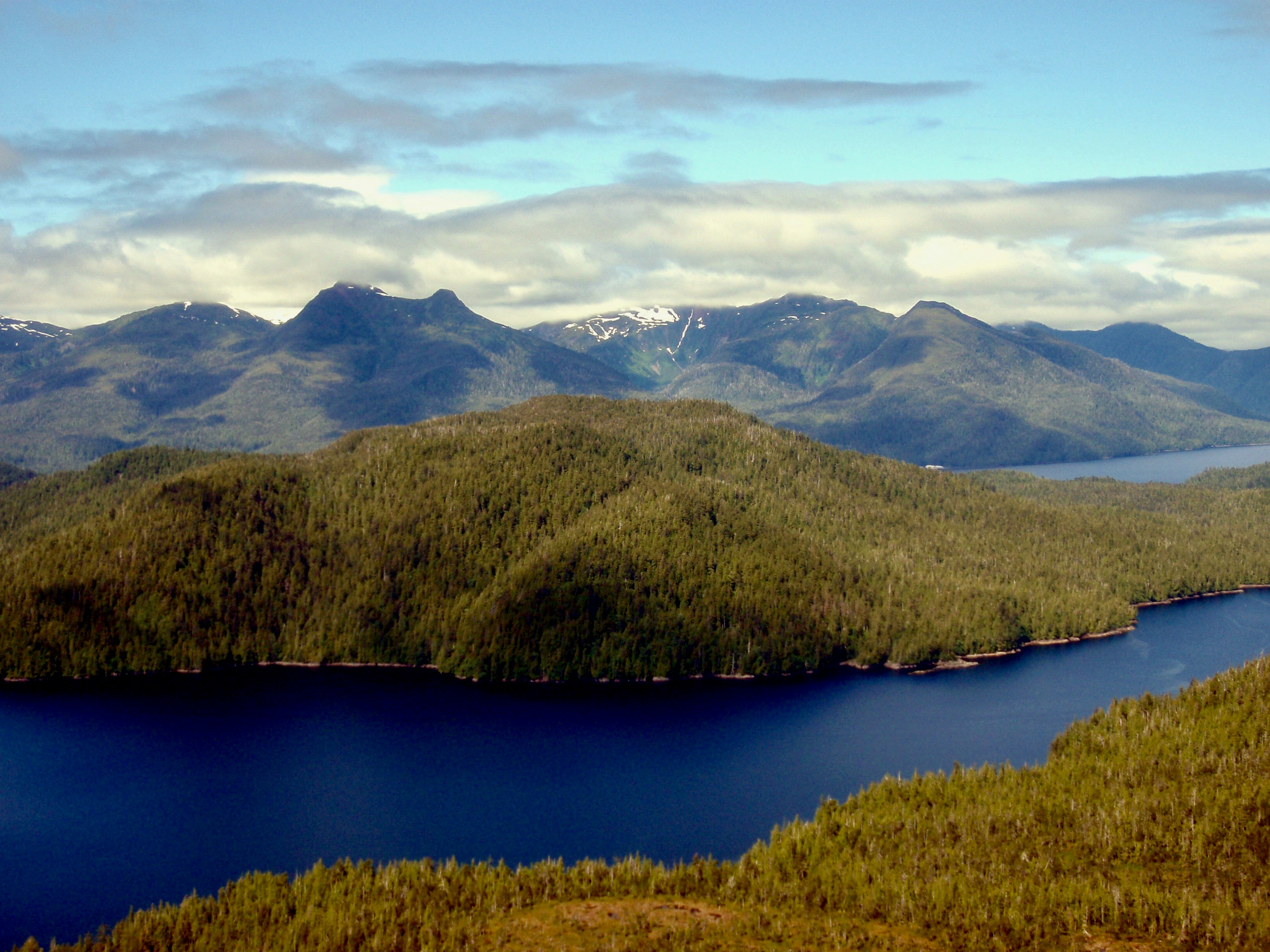 Photo by yanchik2025