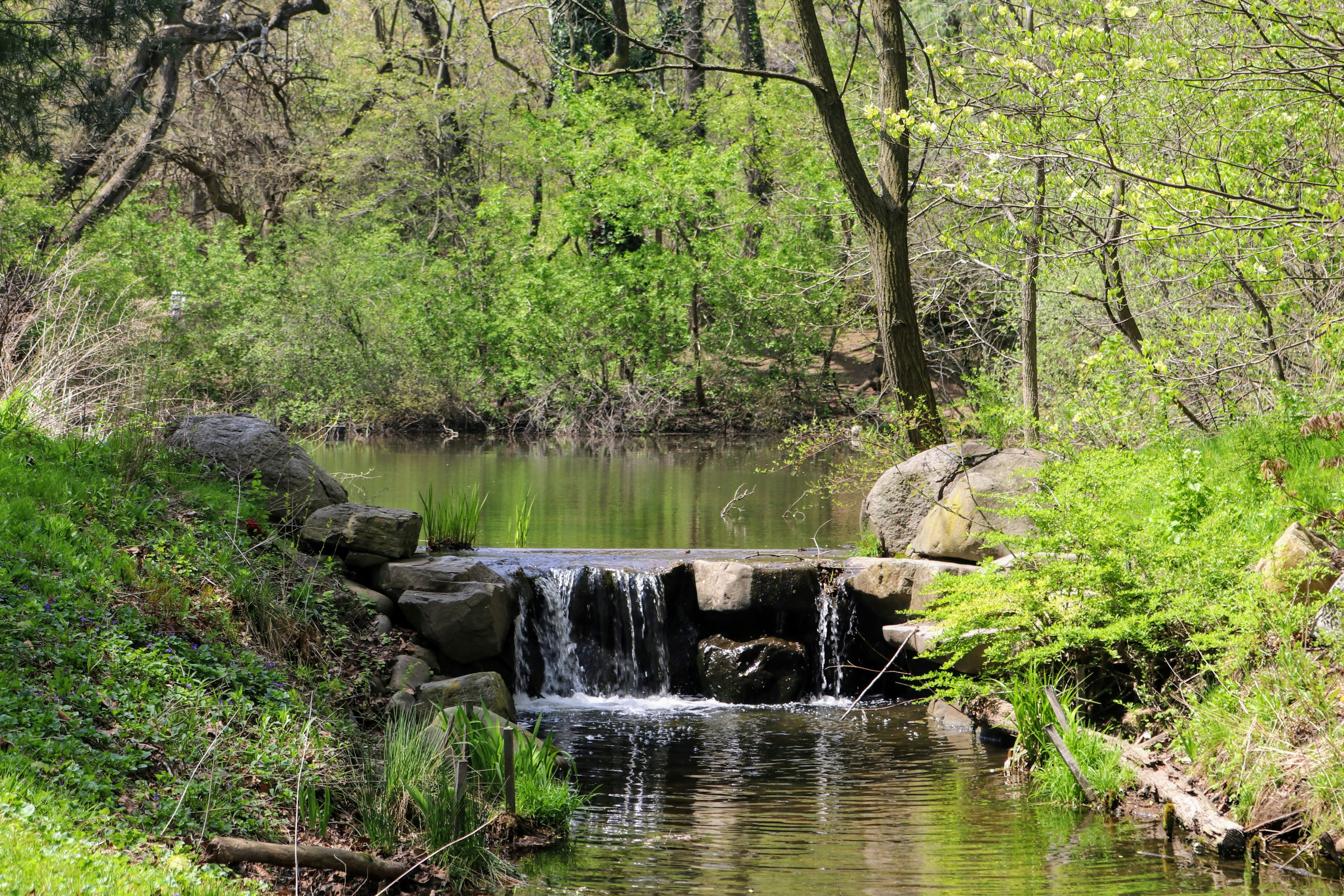 Photo by yanchik2025