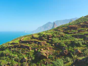 Green terraced hillsides overlooking the ocean