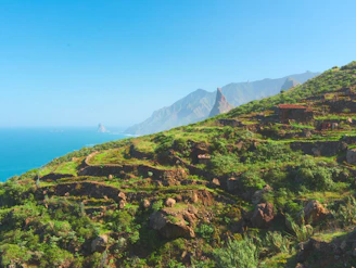 Green terraced hillsides overlooking the ocean