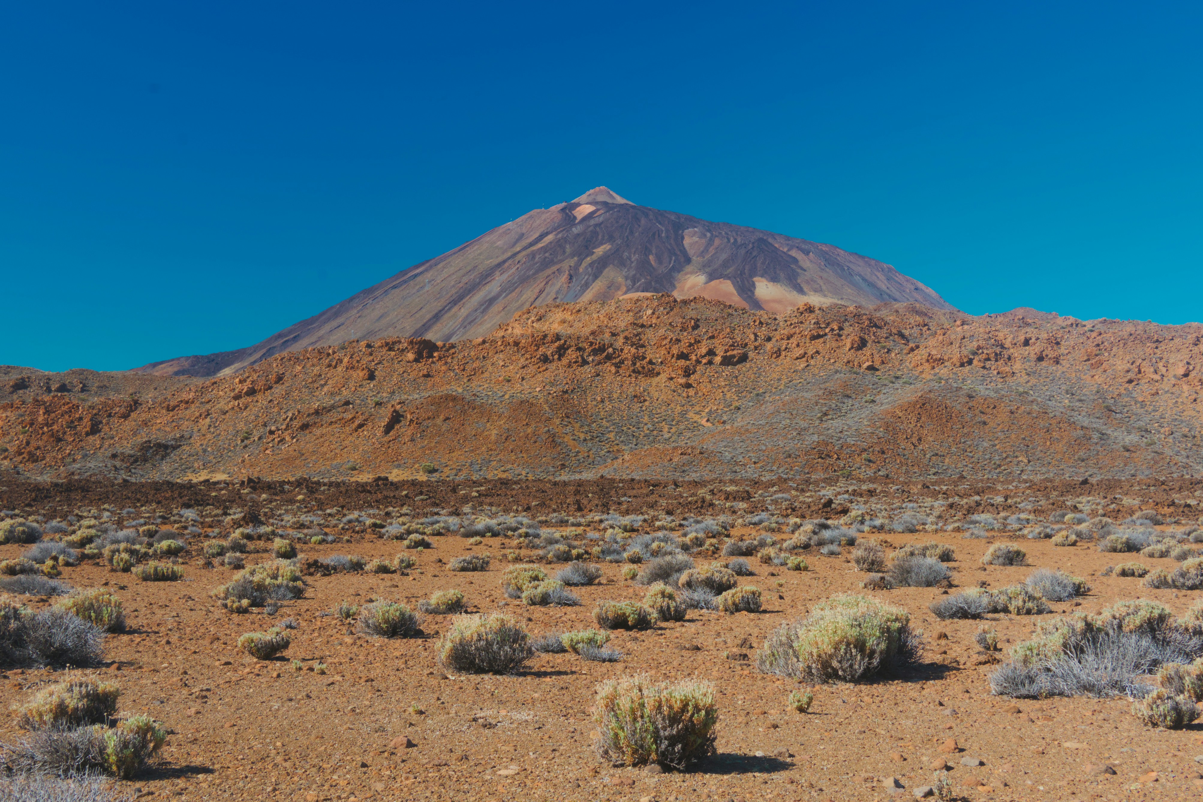 Photo by speeddragon35