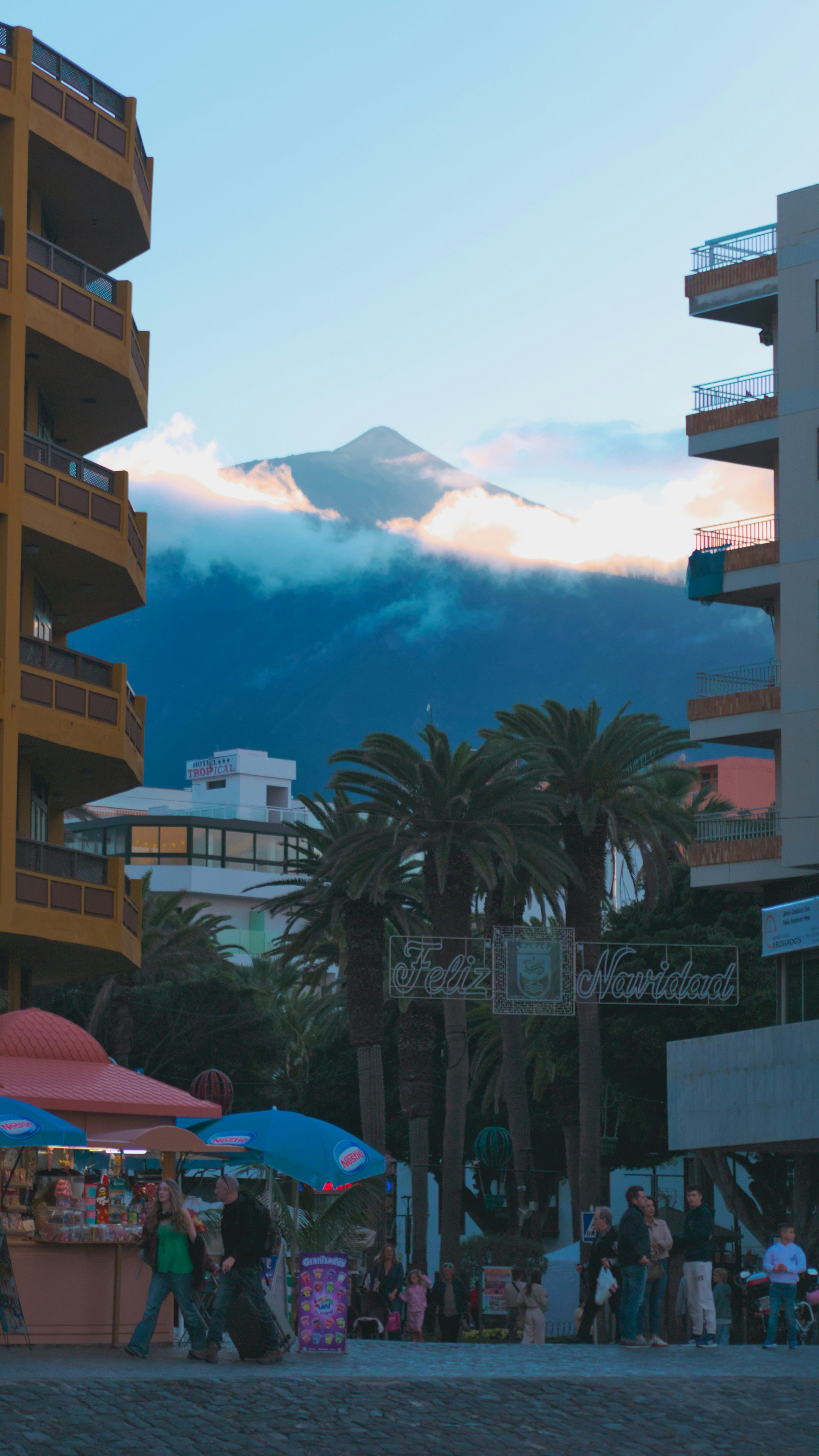 La cima della montagna emerge dalle nuvole tra edifici e palme.