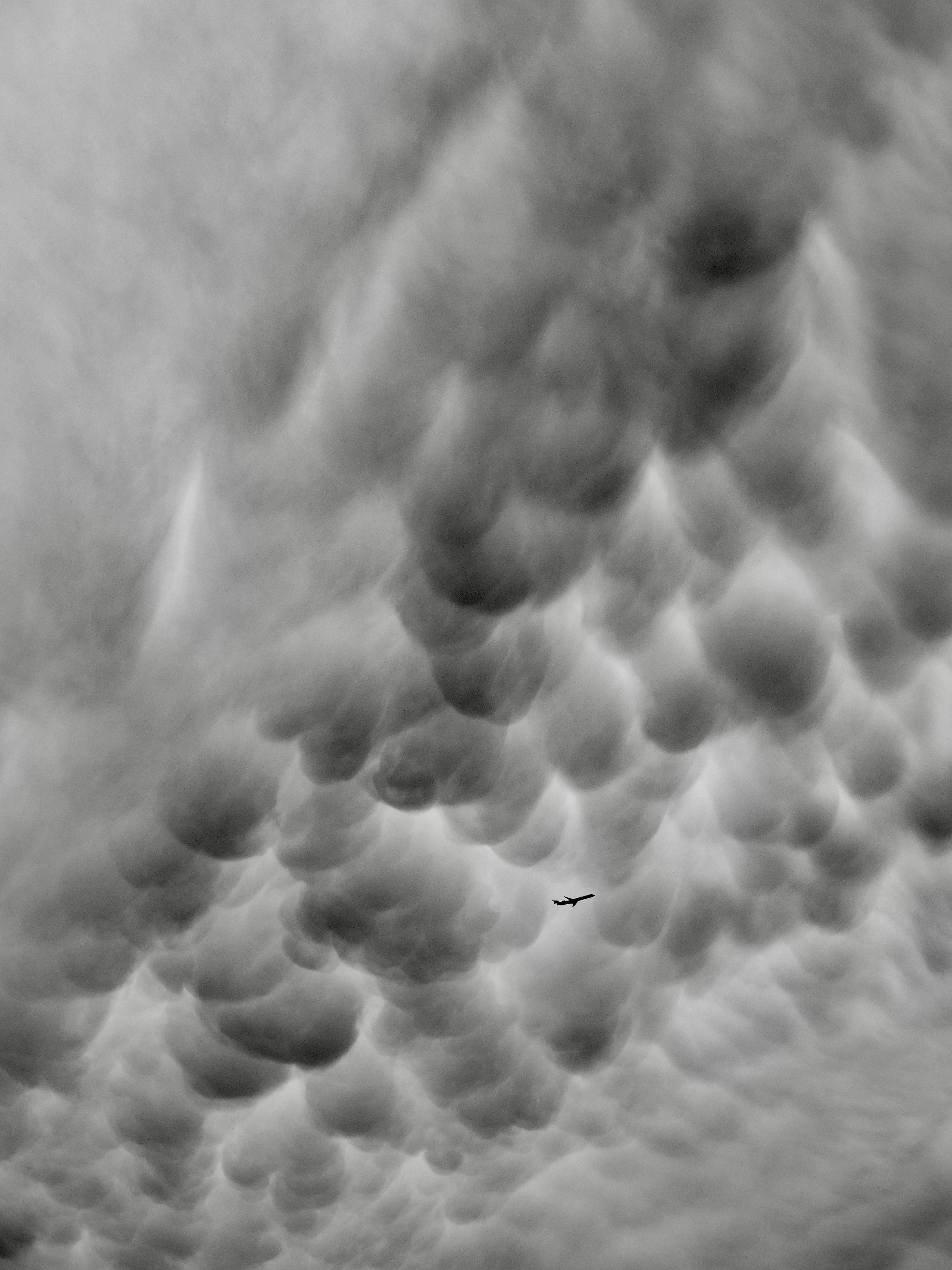 Photo by sschusterphotoart