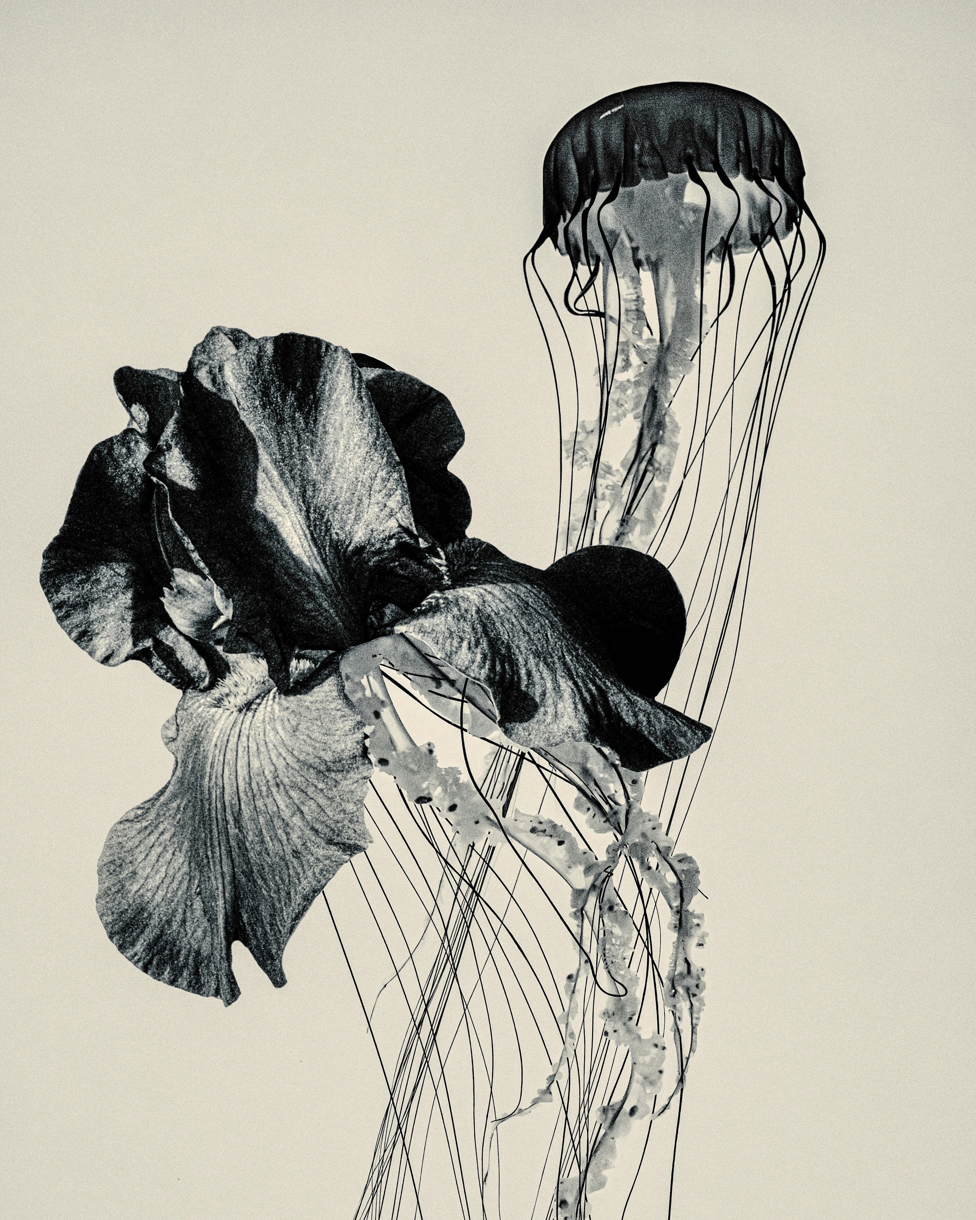 Photo by sschusterphotoart