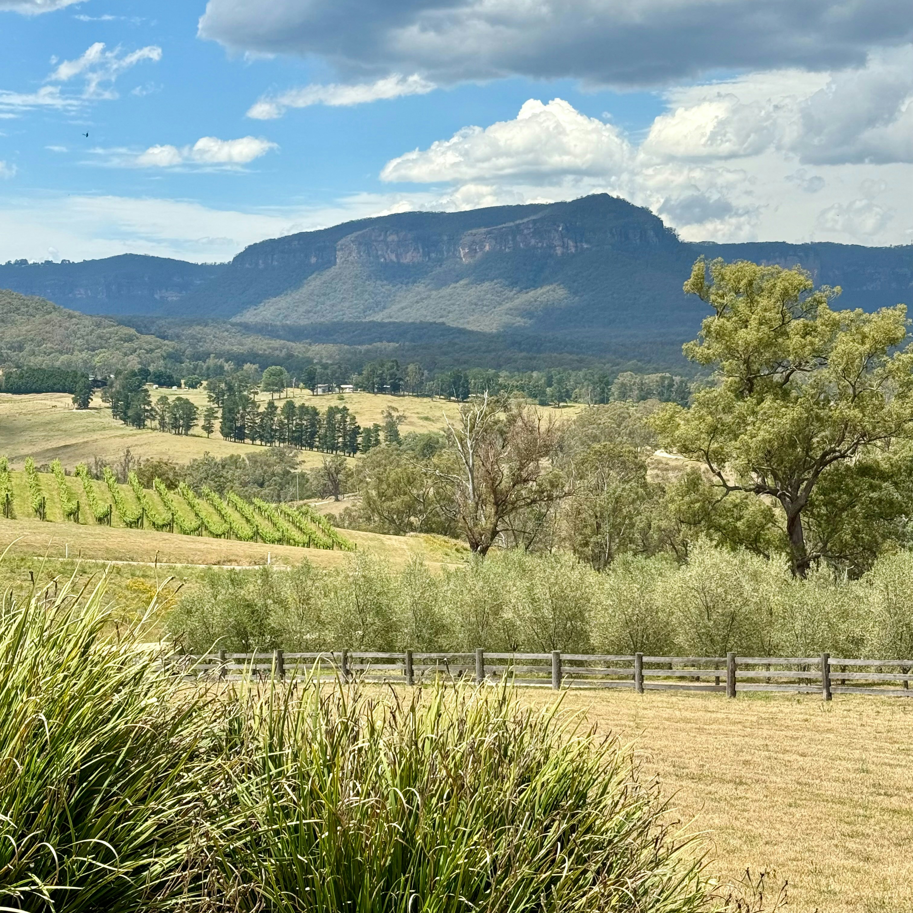 Photo by isabelle_sydney