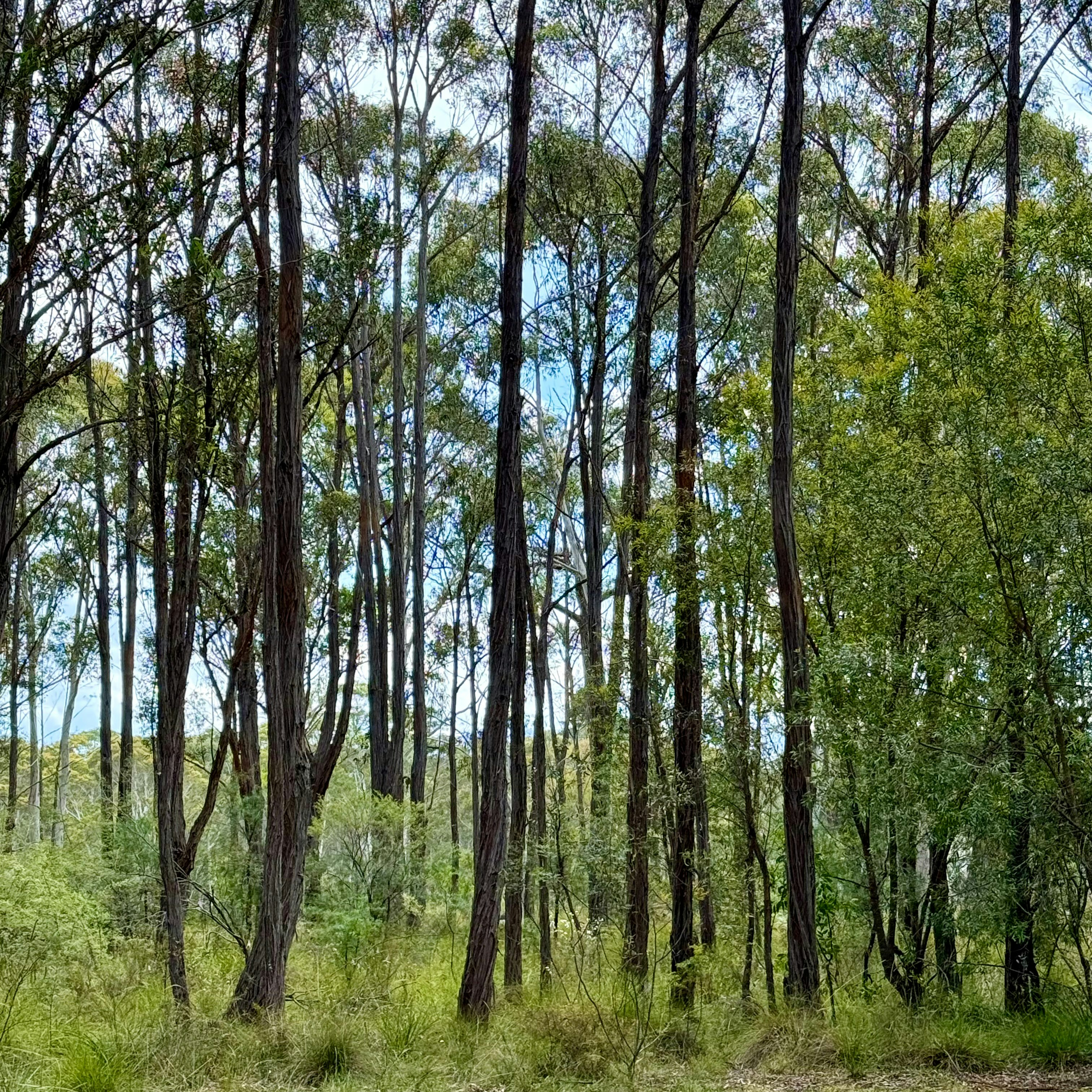 Photo by isabelle_sydney