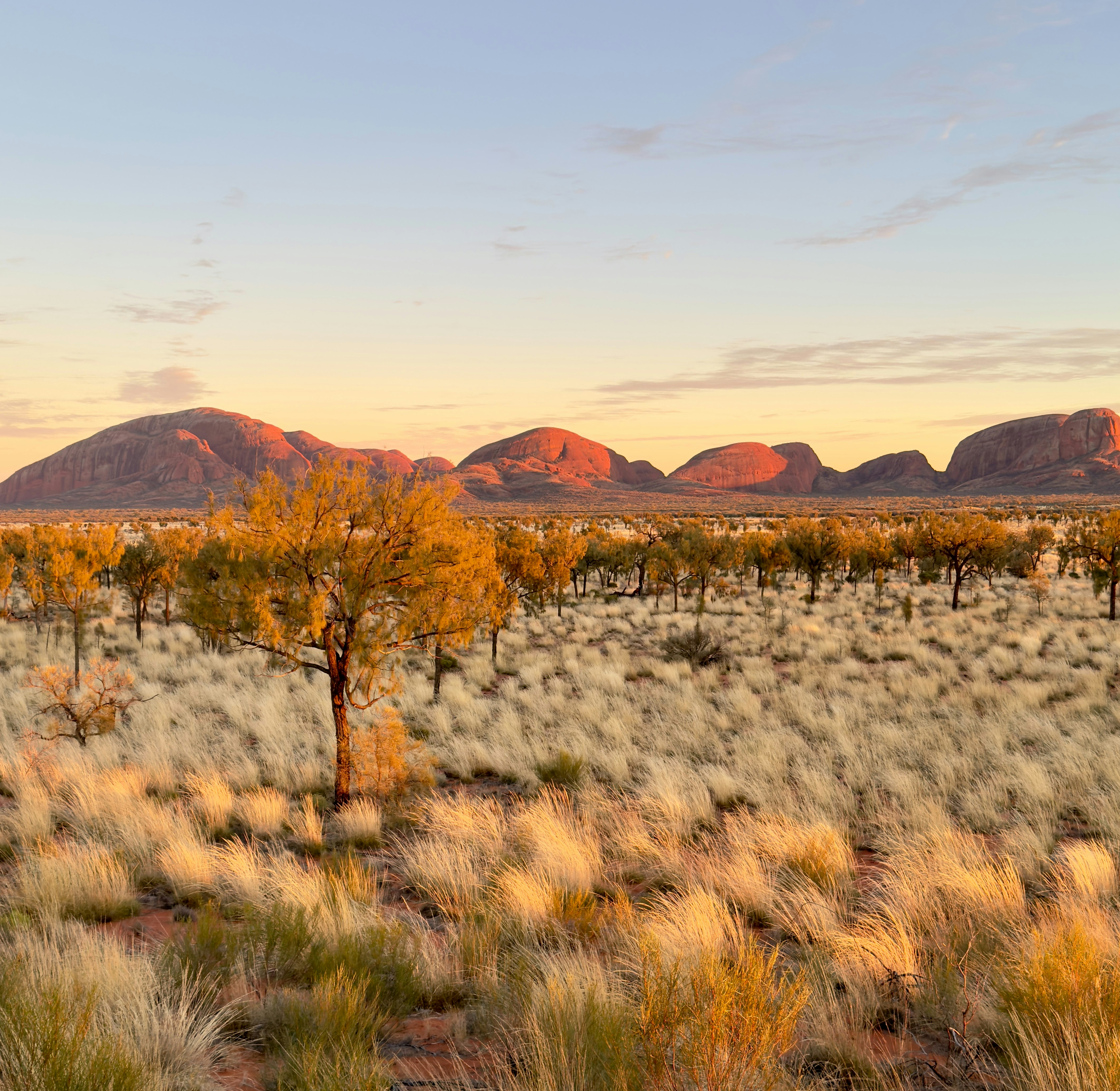 Golden sunset over australian outback with distant mountains