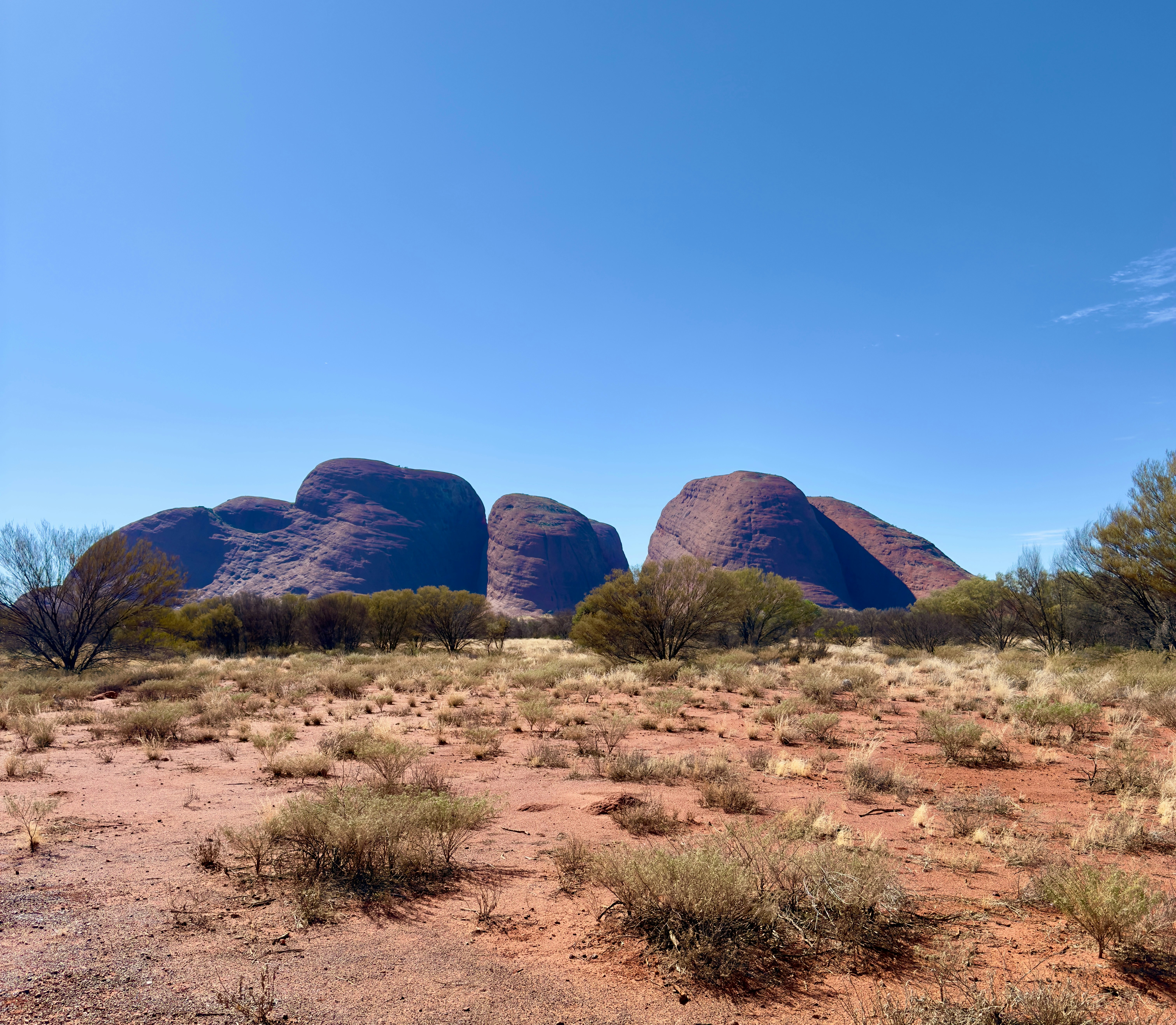 Photo by isabelle_sydney