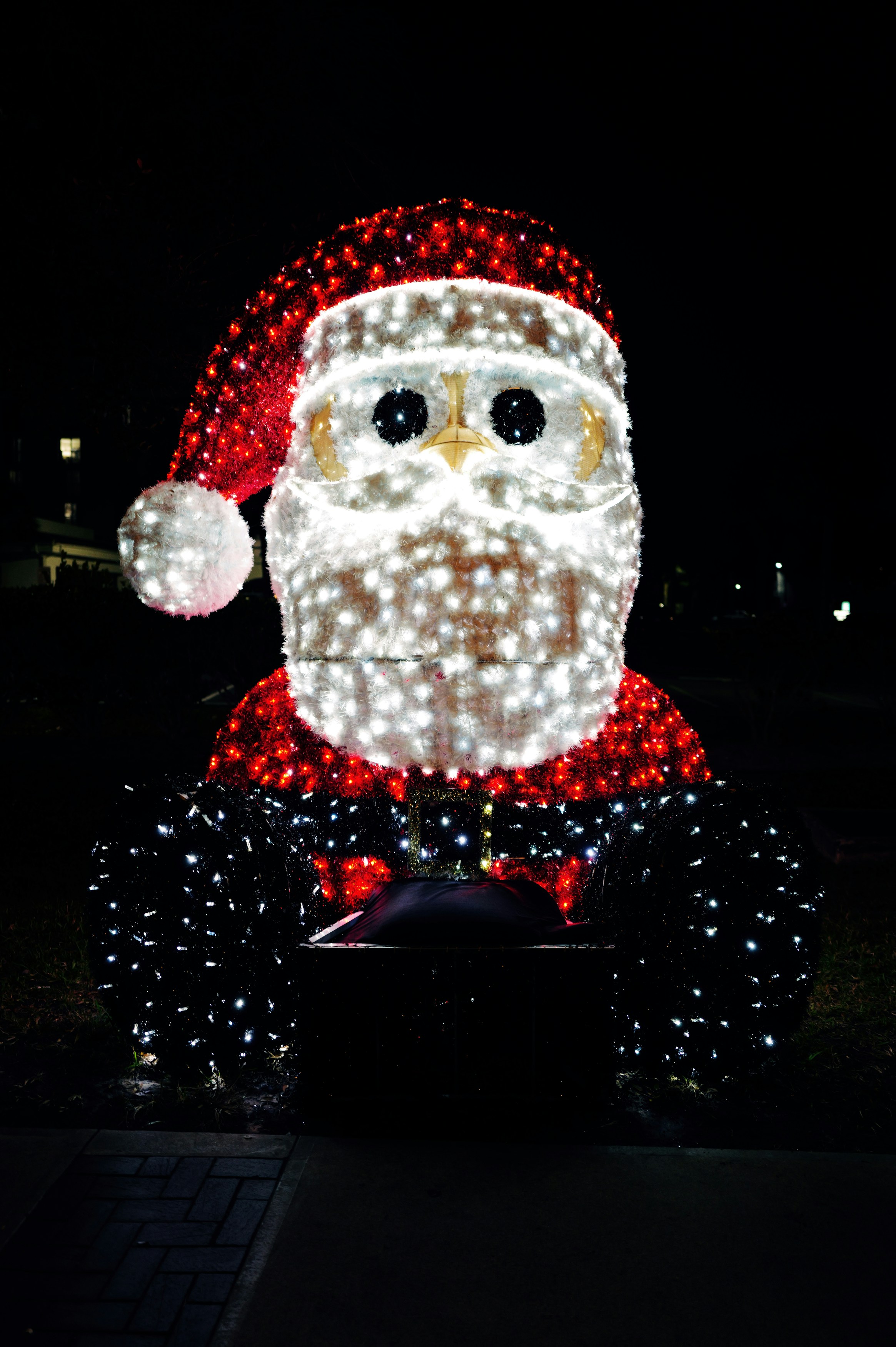 A festive santa claus light display at night