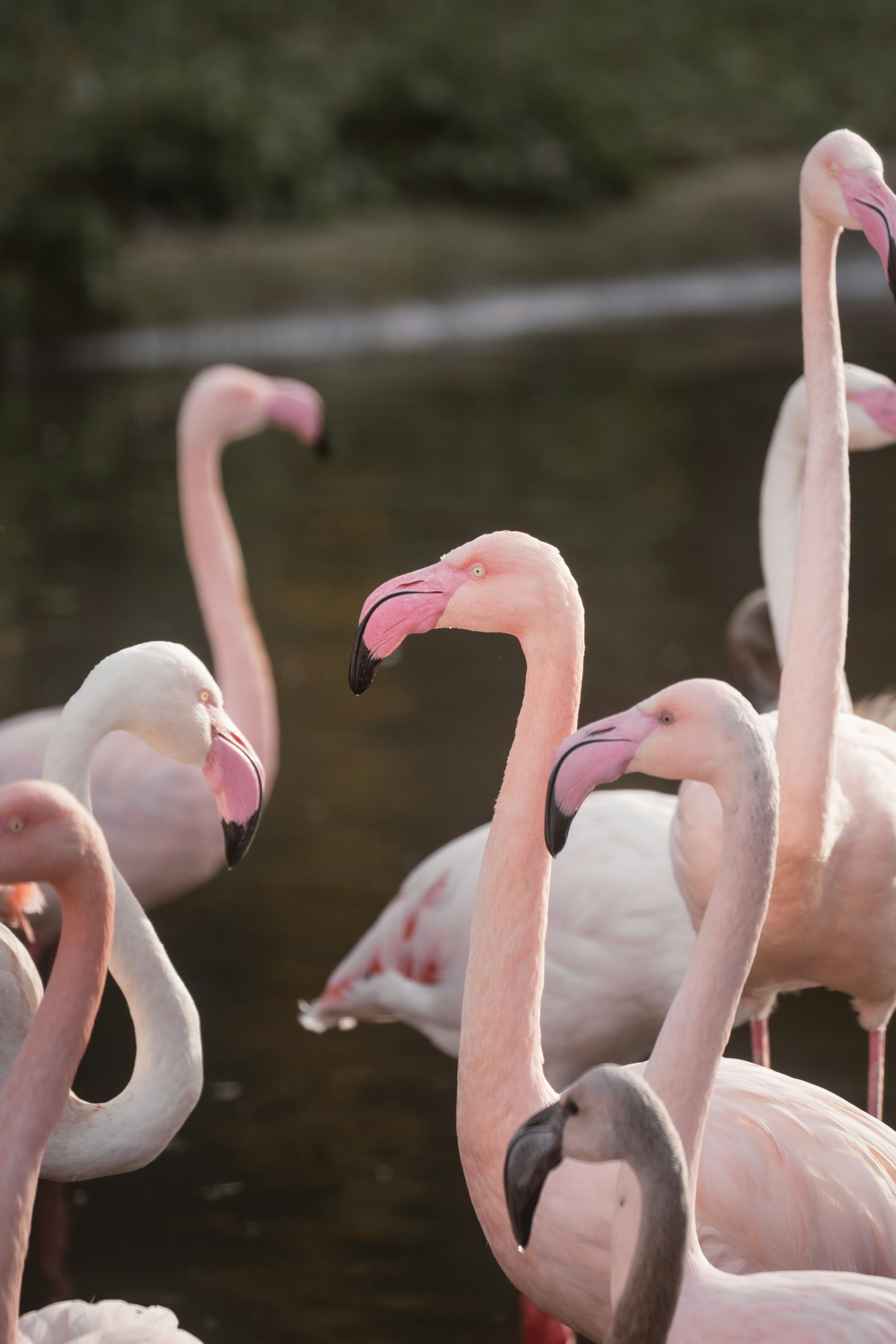 Photo by ahmetyuksek