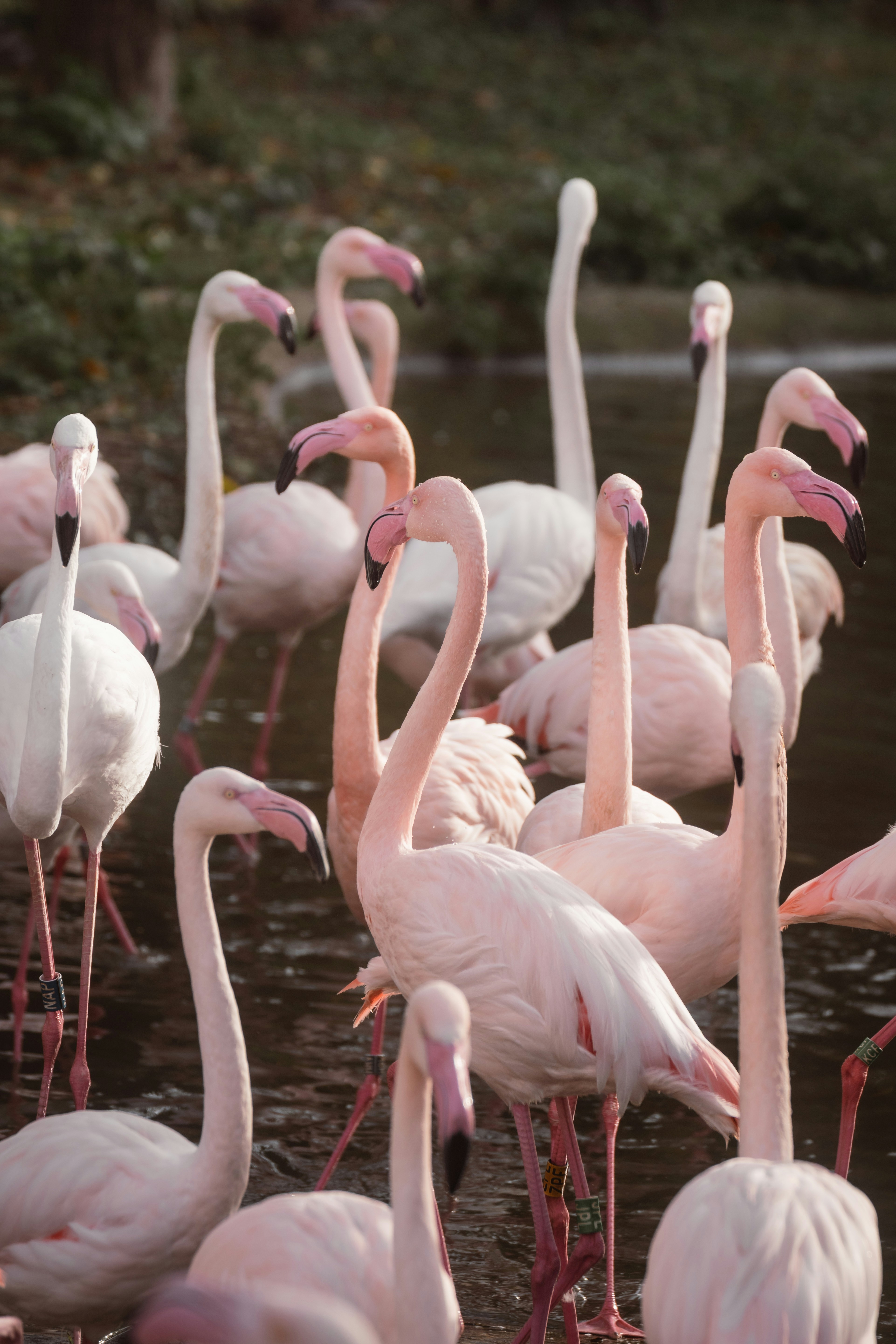 Photo by ahmetyuksek