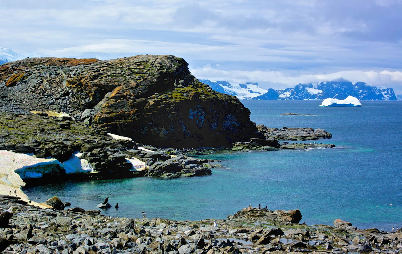 See-Elefanten am Strand von Sea Lion Island