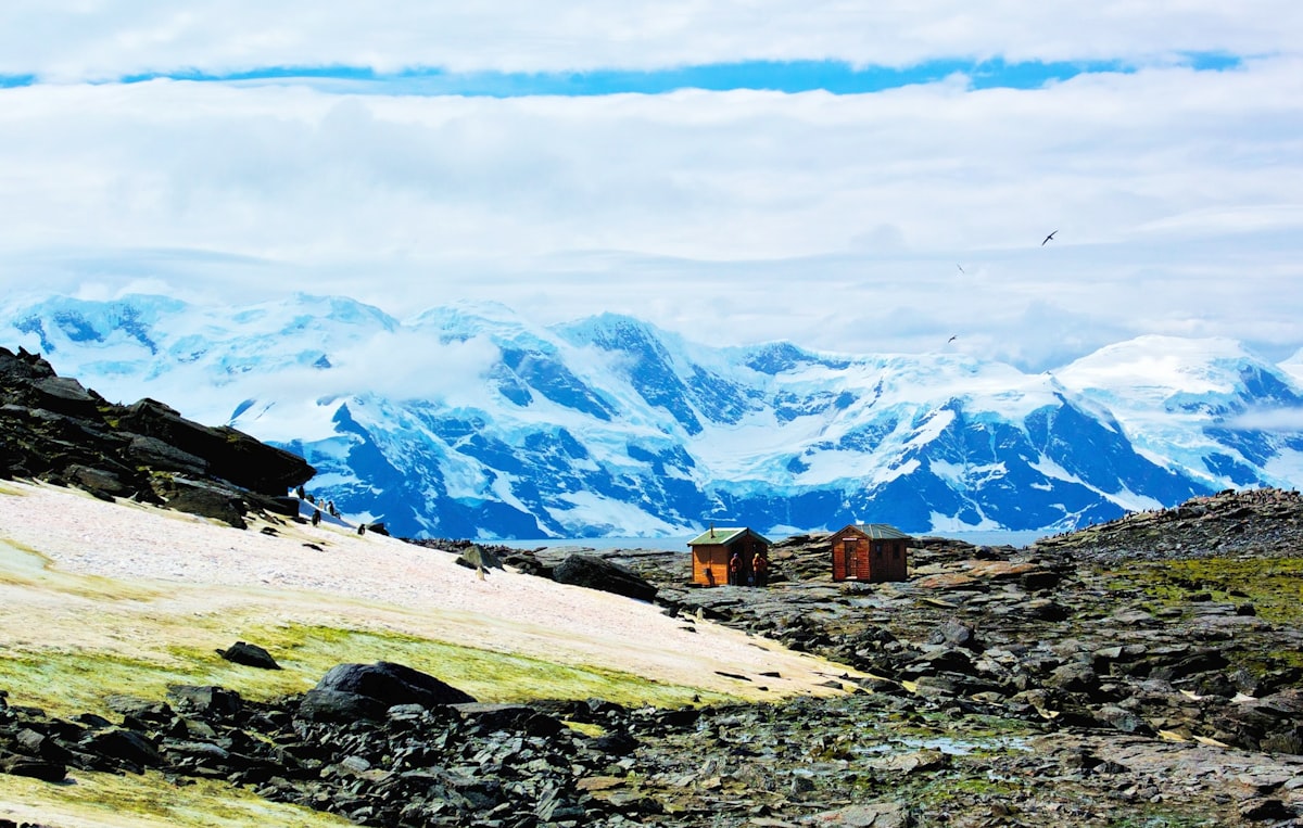 Two small timber huts standing on a bare rocky slope streaked with moss and old snow, with a glaciated mountain range and the sea behind them and seabirds overhead