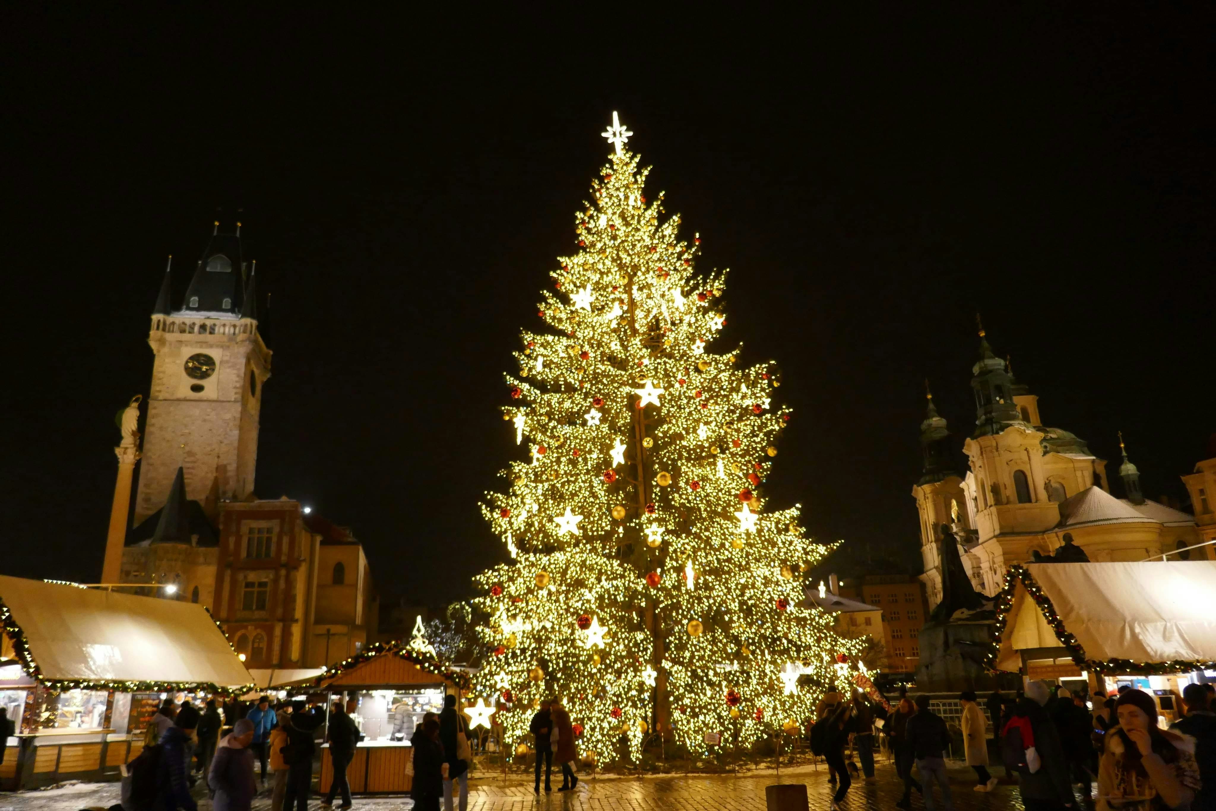 A large decorated christmas tree at night.