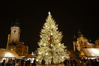 A large, decorated christmas tree at night.