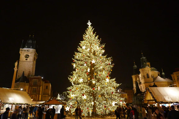 A large, decorated christmas tree at night.
