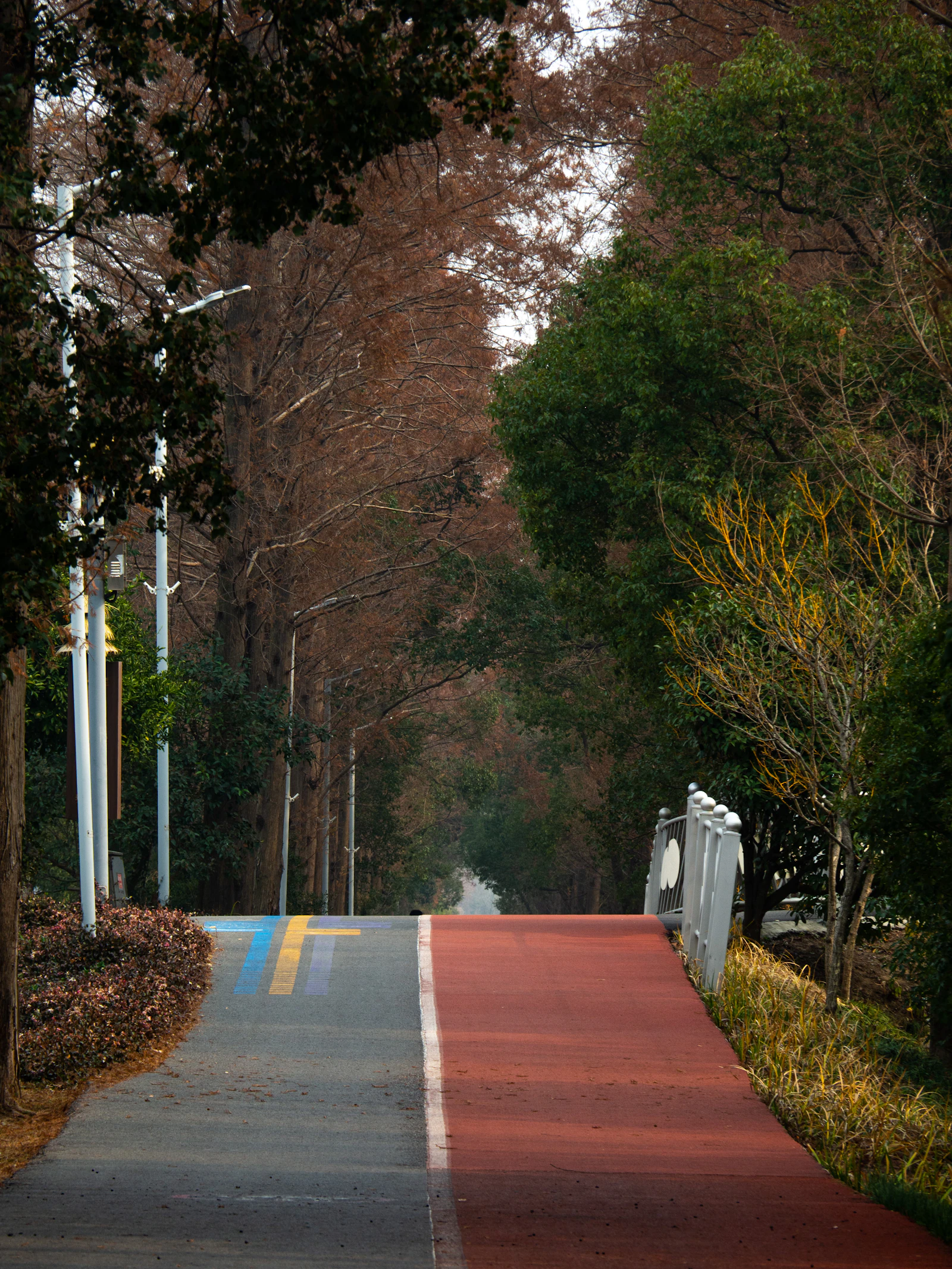 Outdoor community recreation in a park