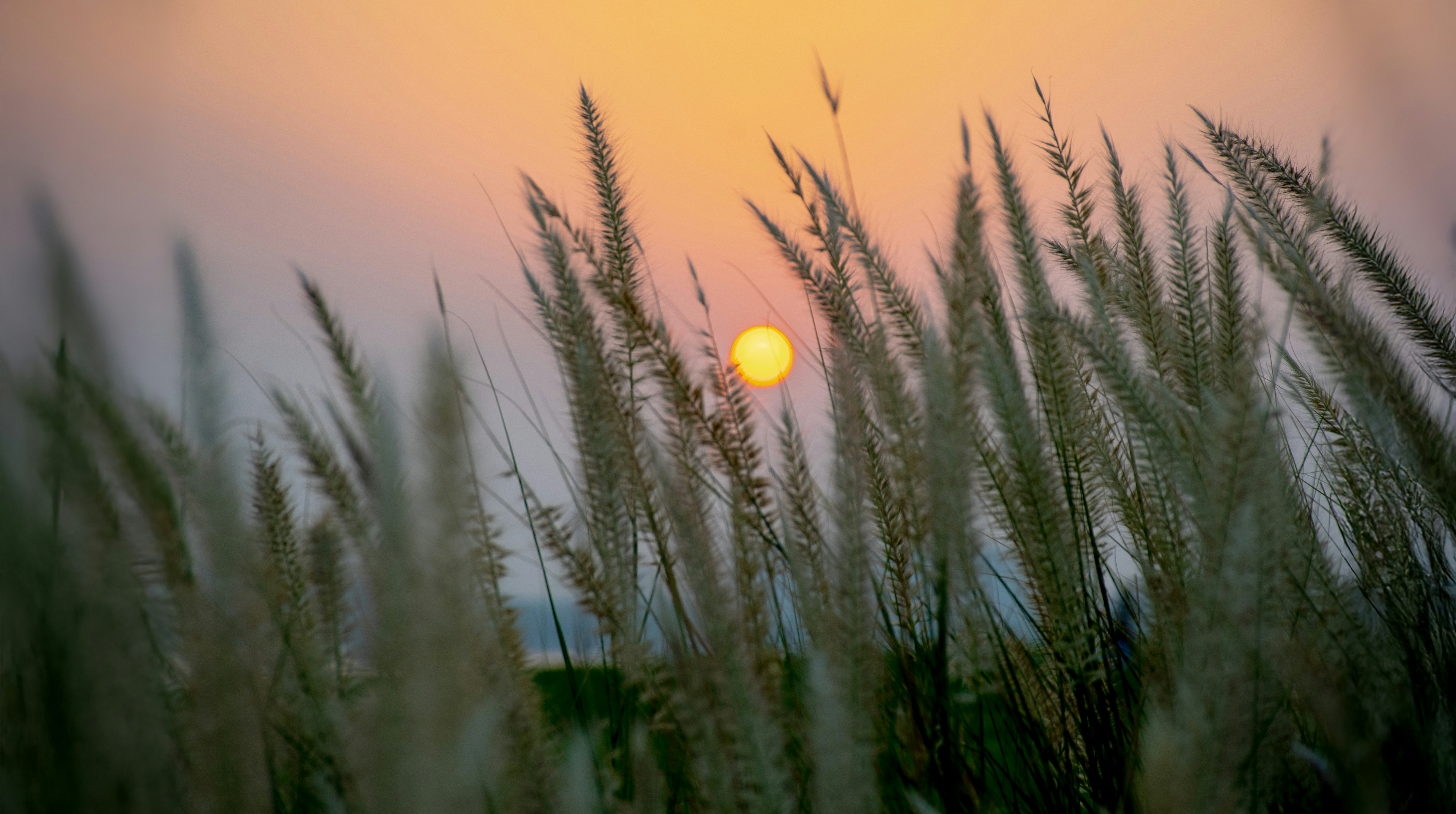 Photo by mmajzoub_93