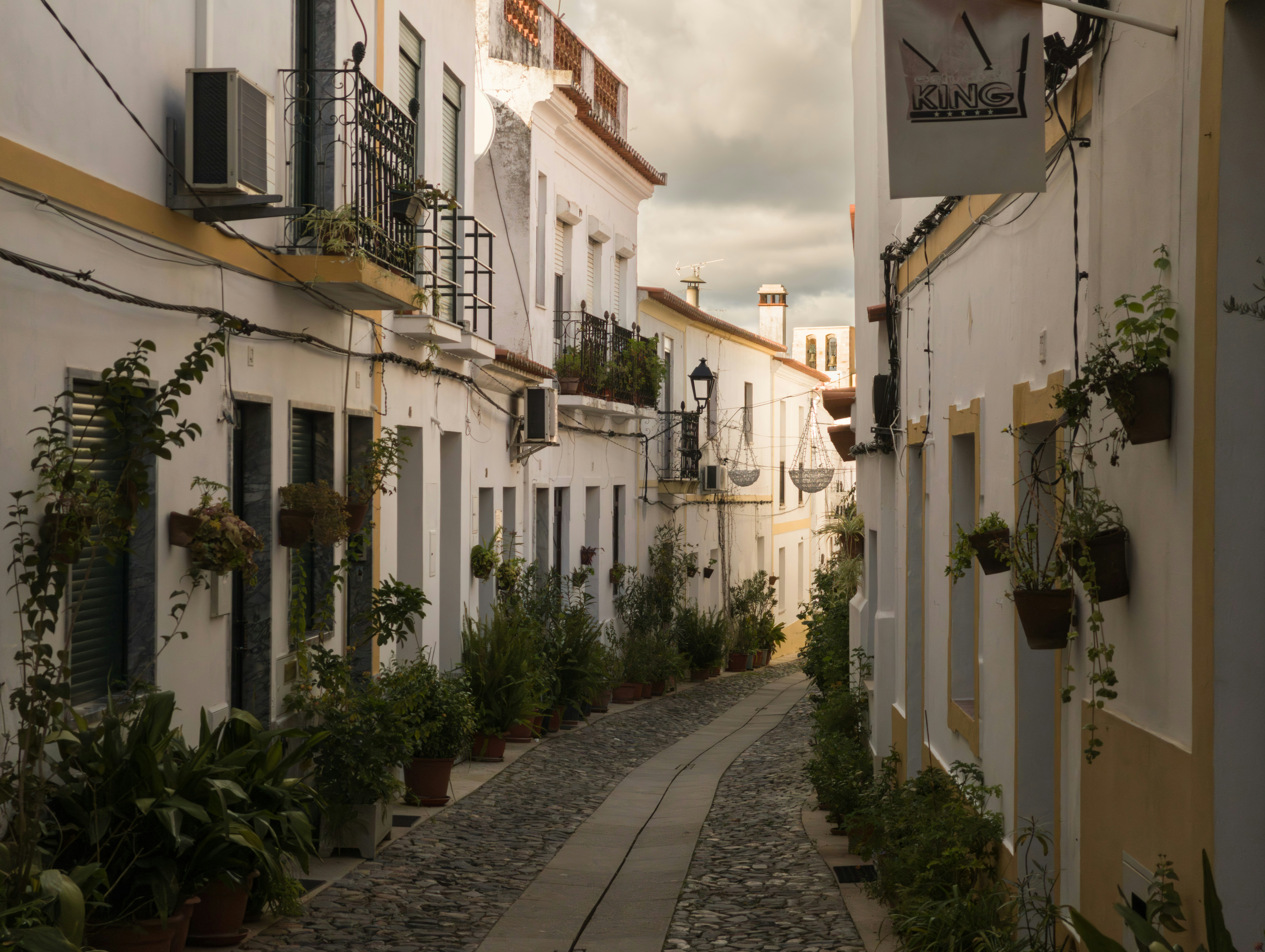 Photo by filipenobre