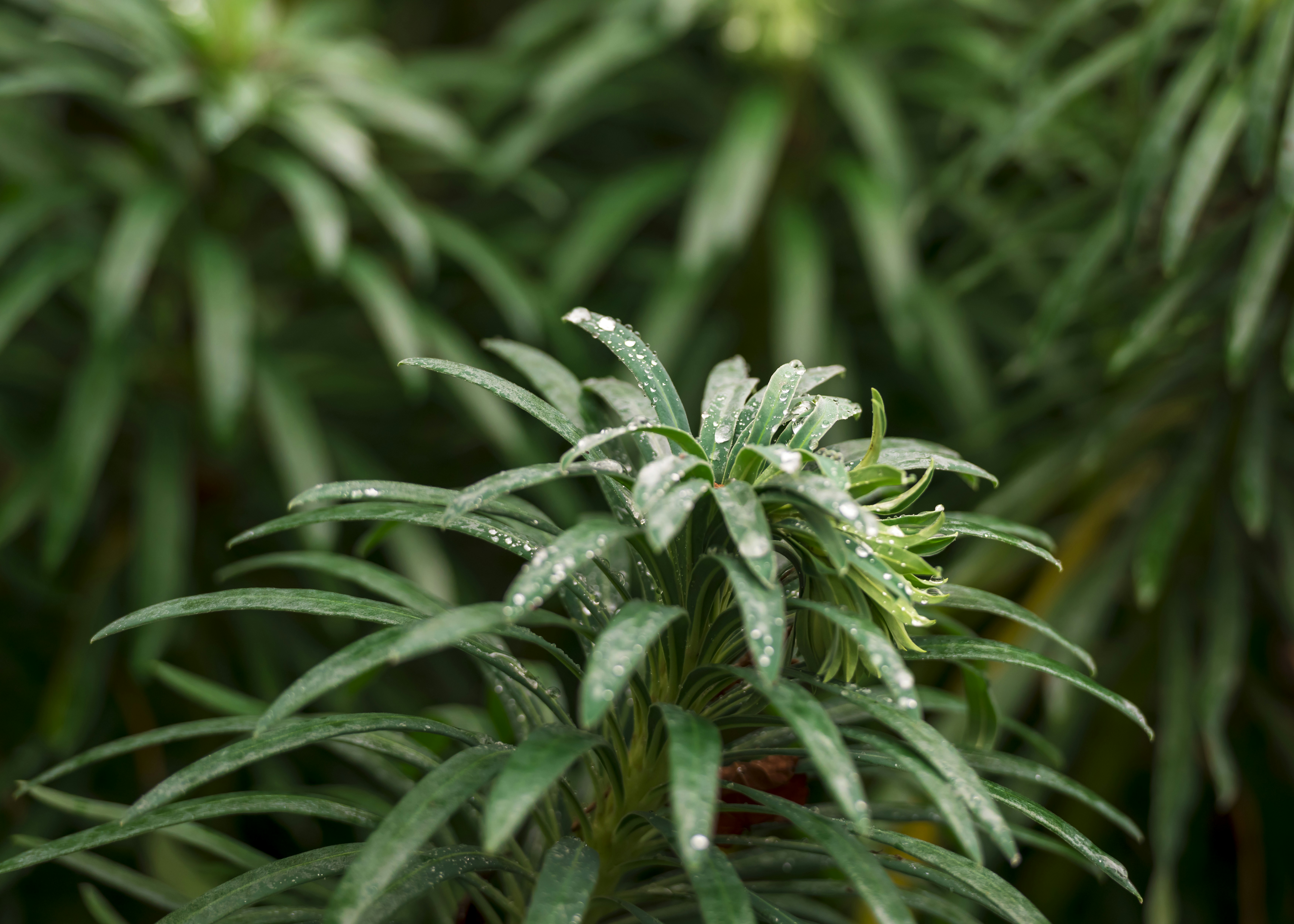 Photo by albertstoynov