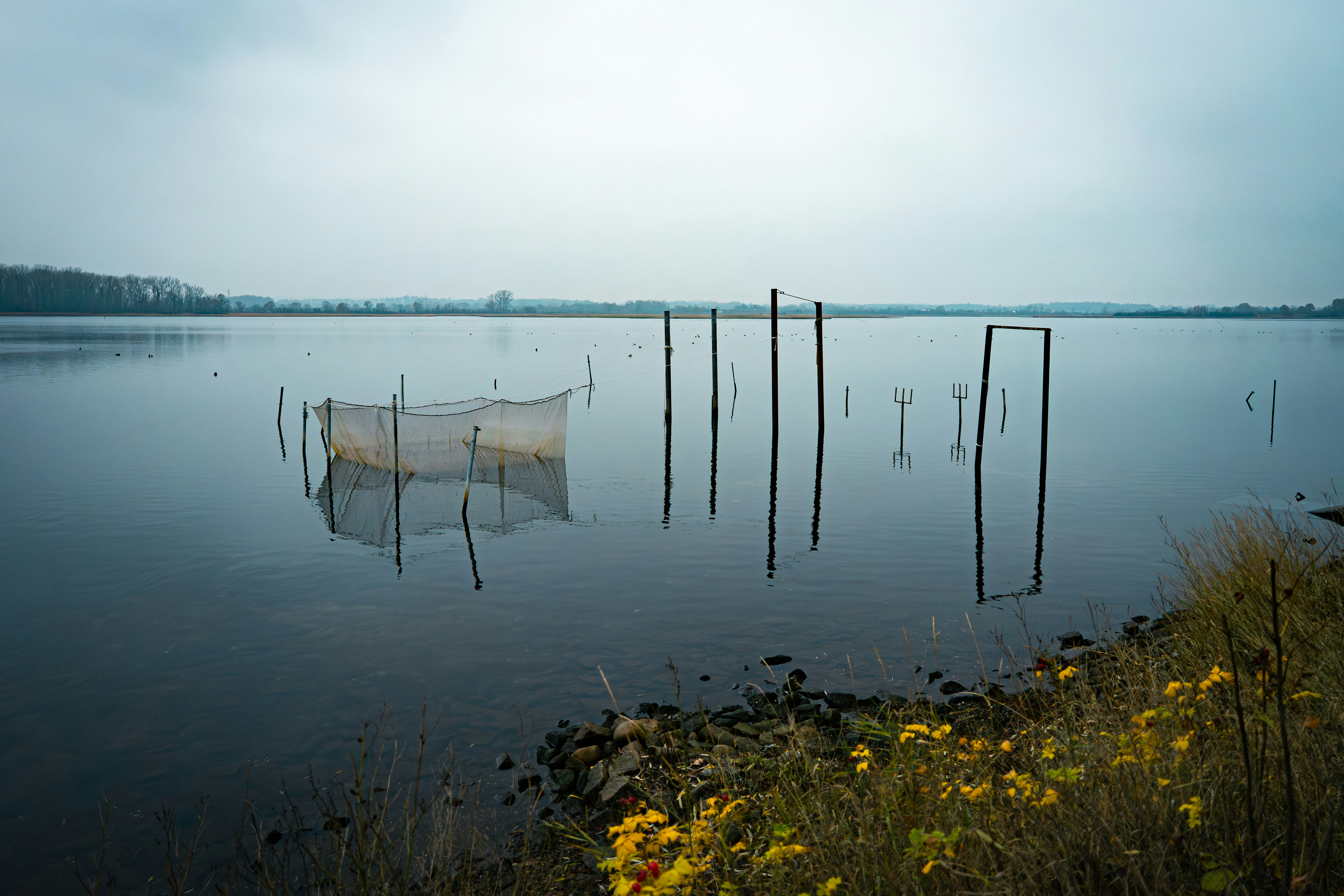 Photo by danielsphotograpic