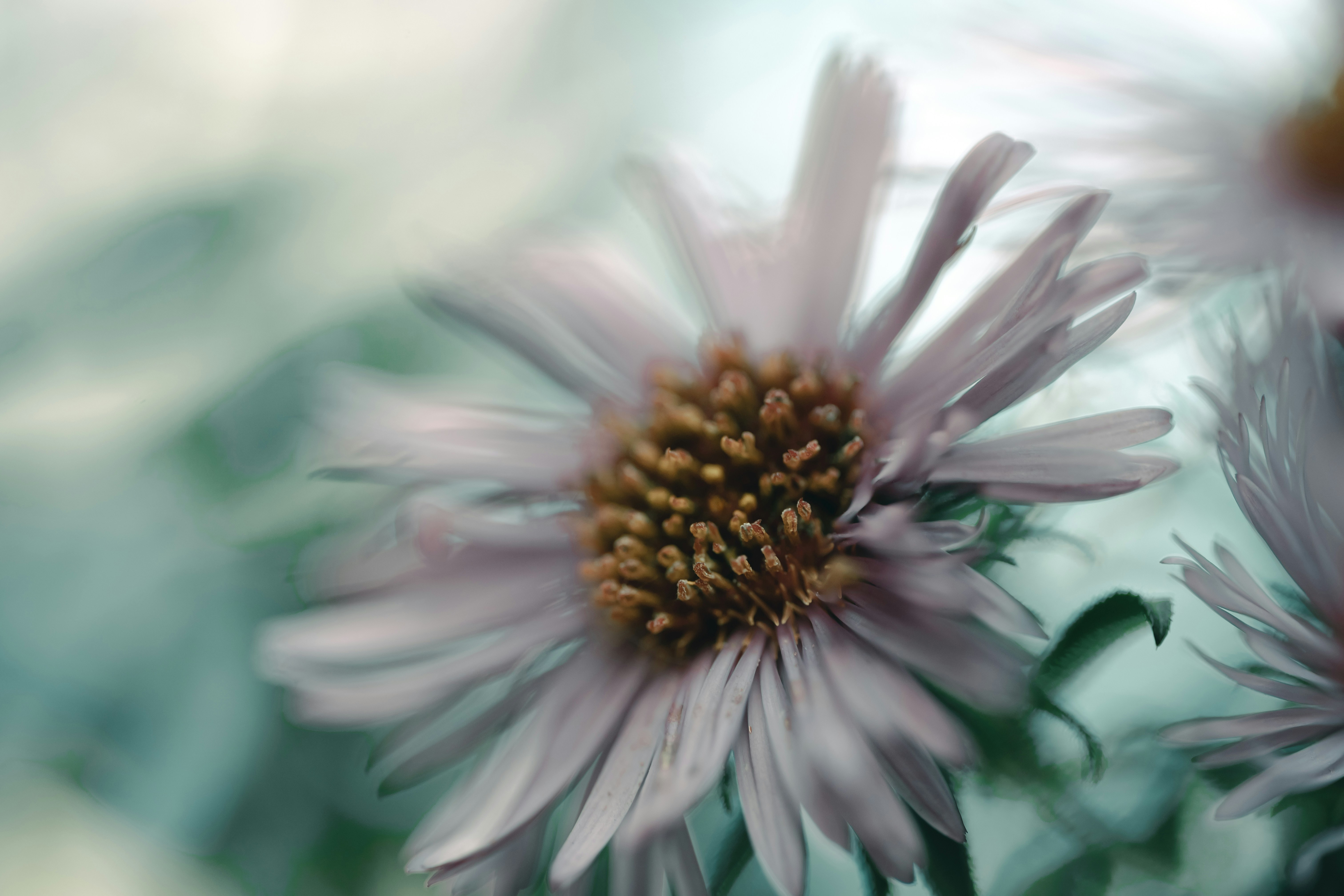 Photo by volodymyr_leush