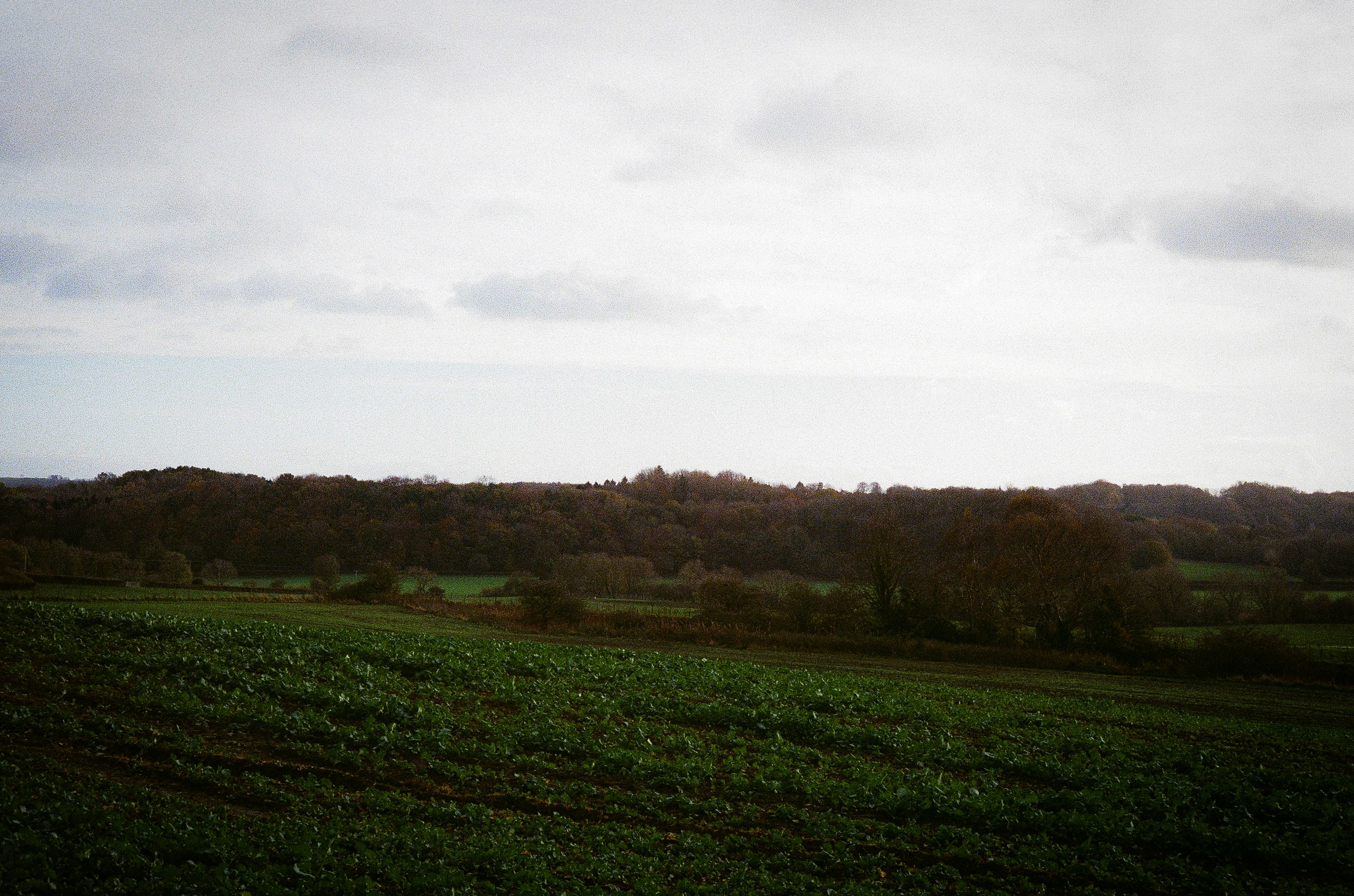 Photo by andysong1023