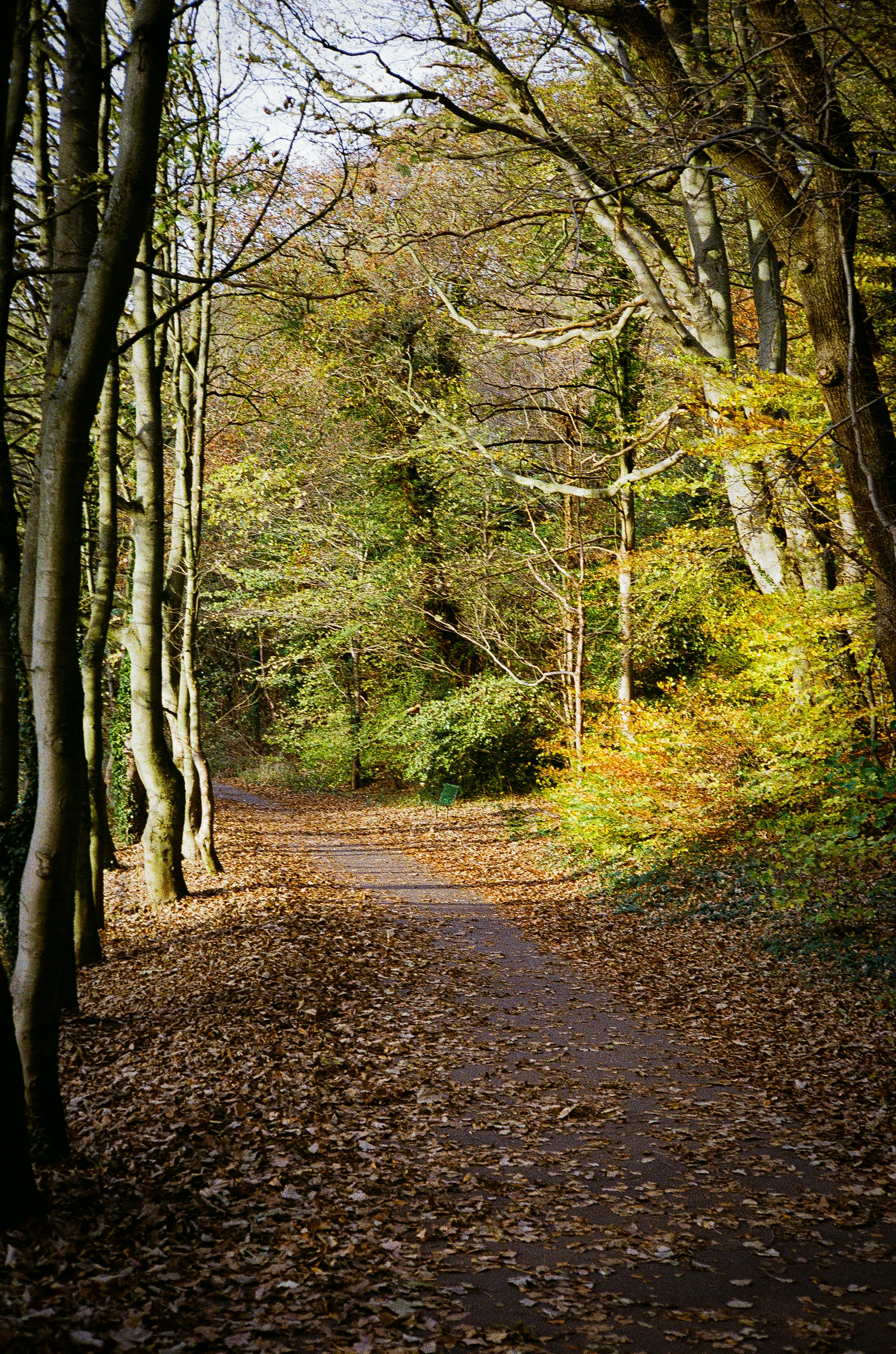 Photo by andysong1023