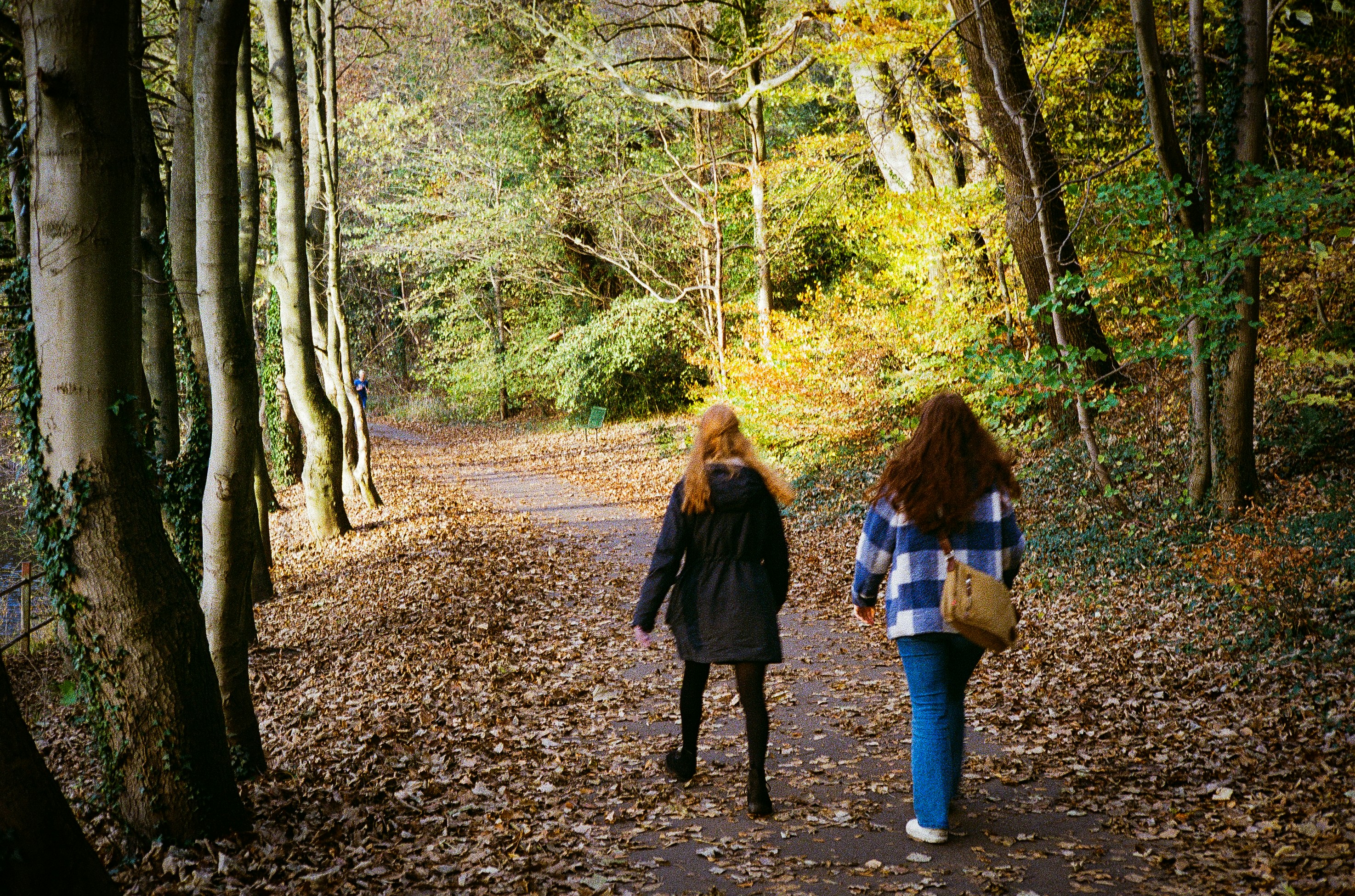 Photo by andysong1023